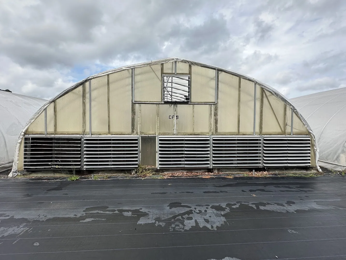 WHITE'S AUCTION LOT 24 - CF09 - X.S. Smith 30' x 96' Criterion Quonset Hoop Cold Frame Greenhouse, photo 2