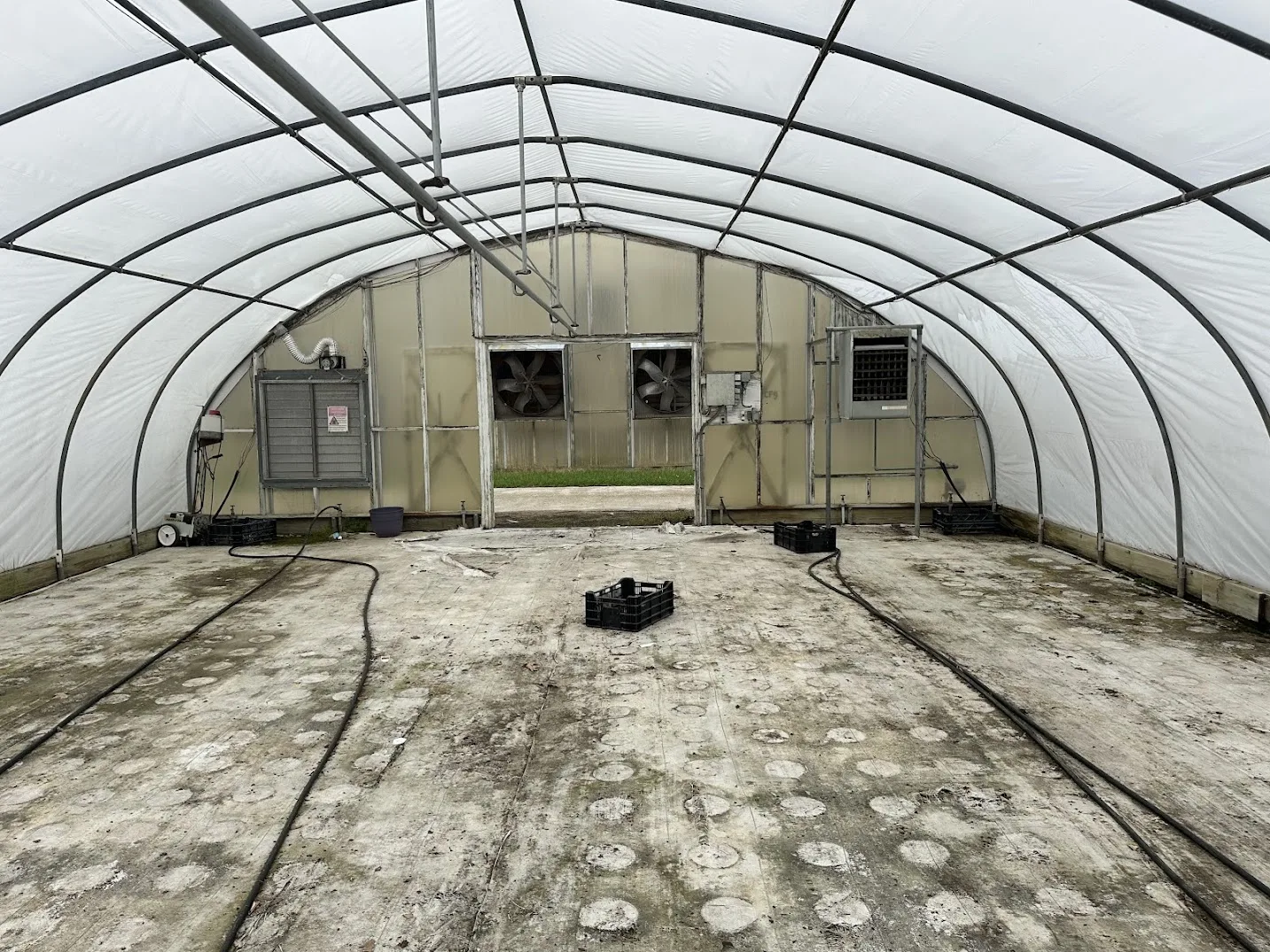 WHITE'S AUCTION LOT 24 - CF09 - X.S. Smith 30' x 96' Criterion Quonset Hoop Cold Frame Greenhouse, photo 3