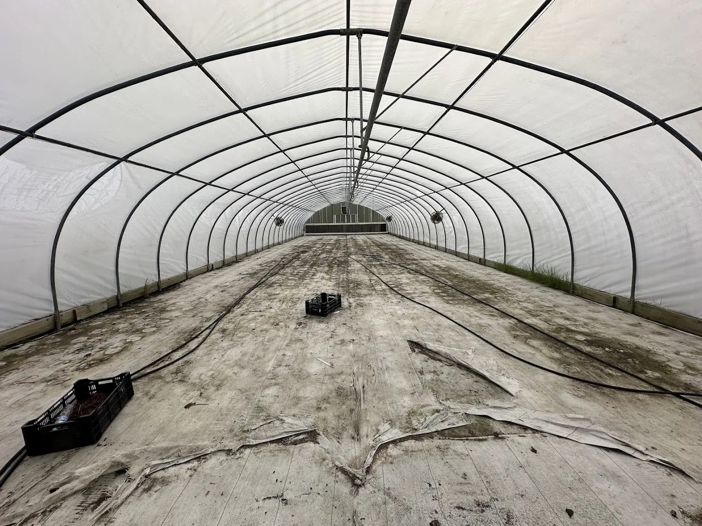 WHITE'S AUCTION LOT 24 - CF09 - X.S. Smith 30' x 96' Criterion Quonset Hoop Cold Frame Greenhouse, photo 4
