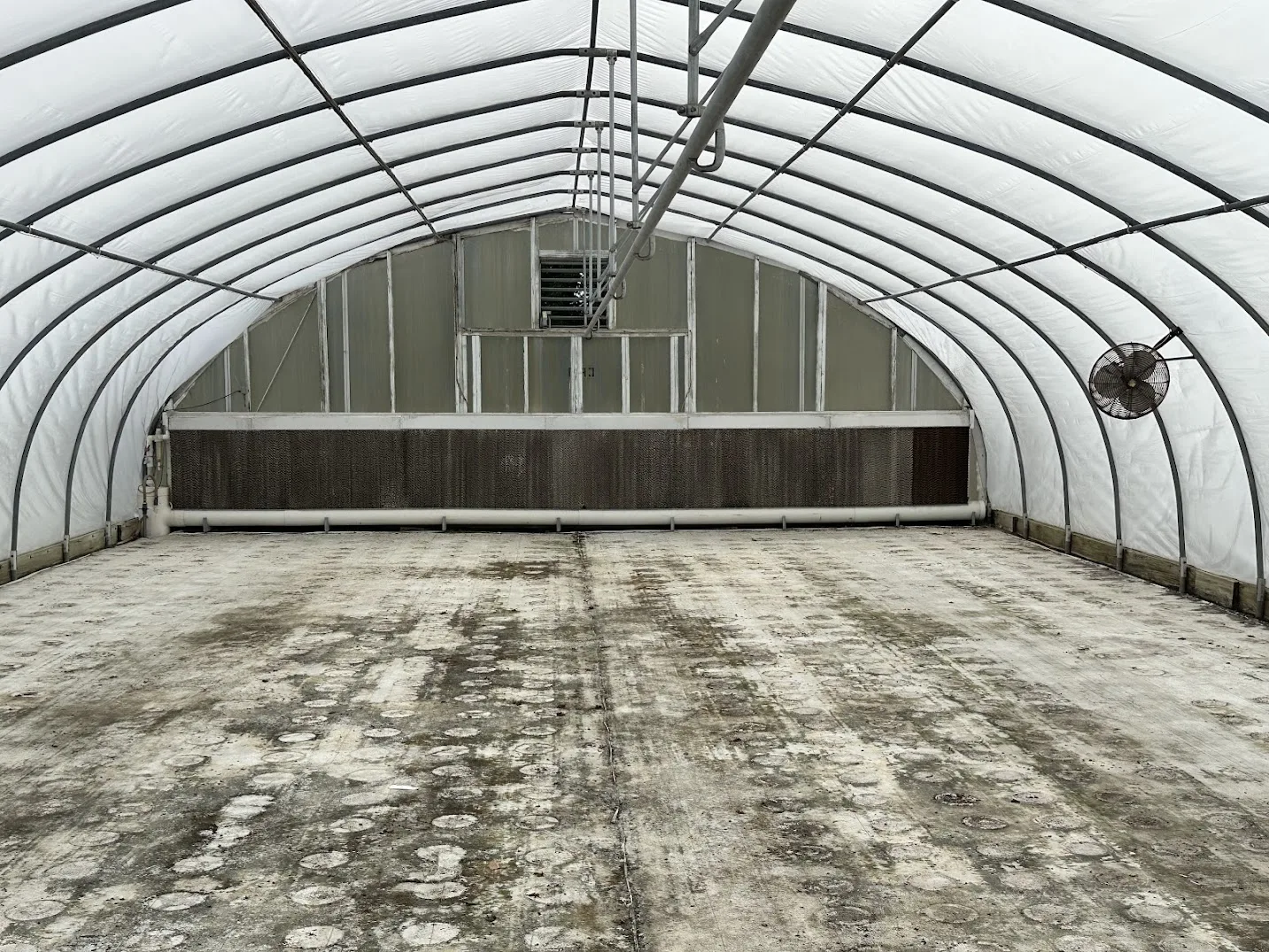 WHITE'S AUCTION LOT 24 - CF09 - X.S. Smith 30' x 96' Criterion Quonset Hoop Cold Frame Greenhouse, photo 5