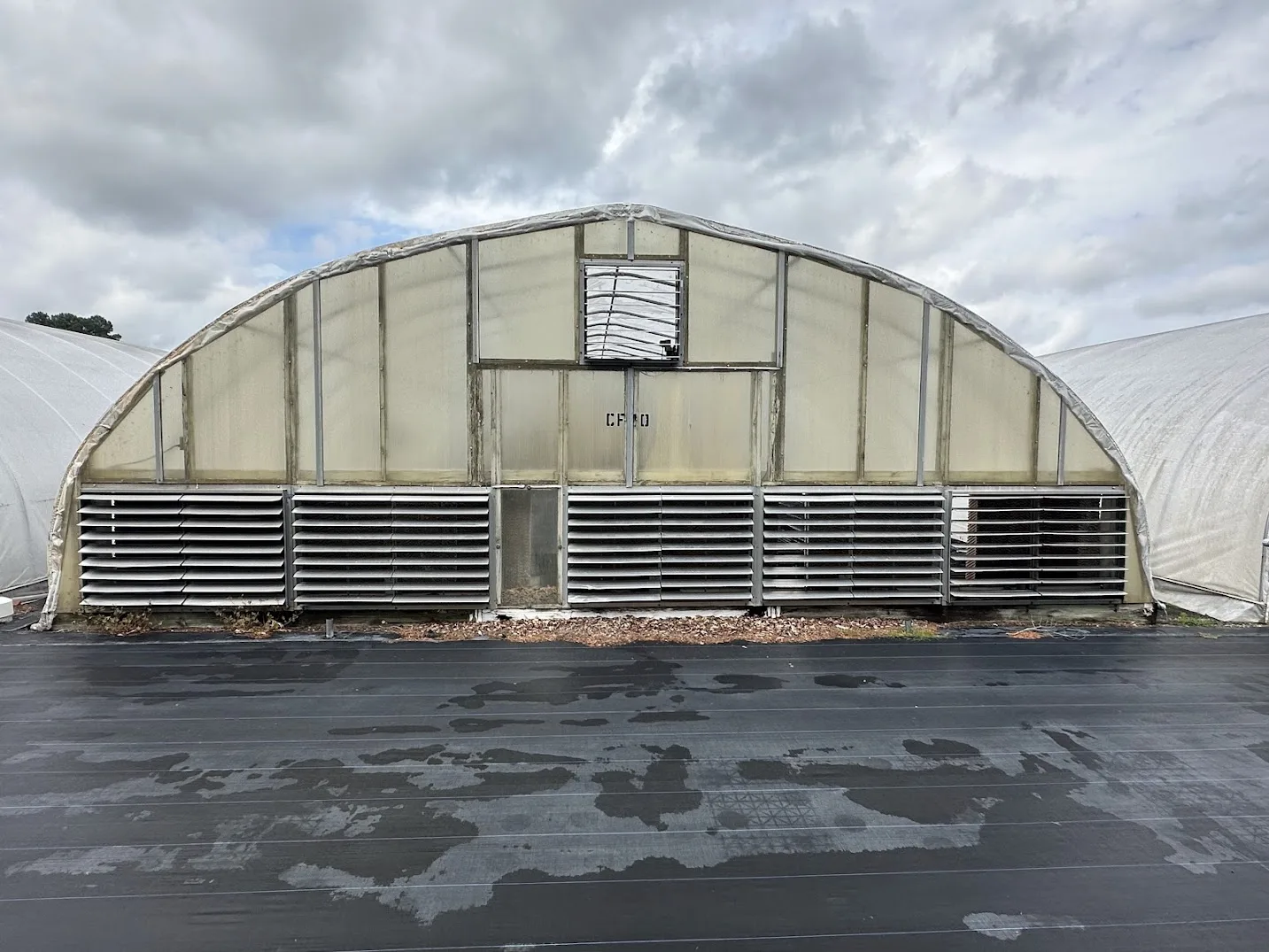 WHITE'S AUCTION LOT 25 - CF10 - X.S. Smith 30' x 96' Criterion Quonset Hoop Cold Frame Greenhouse, photo 2