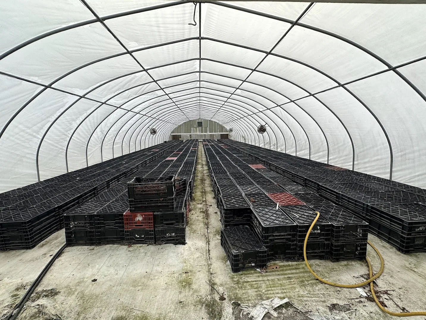 WHITE'S AUCTION LOT 25 - CF10 - X.S. Smith 30' x 96' Criterion Quonset Hoop Cold Frame Greenhouse, photo 4