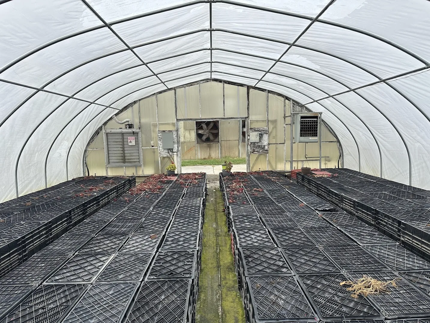 WHITE'S AUCTION LOT 27 - CF12 - X.S. Smith 30' x 96' Criterion Quonset Hoop Cold Frame Greenhouse, photo 3