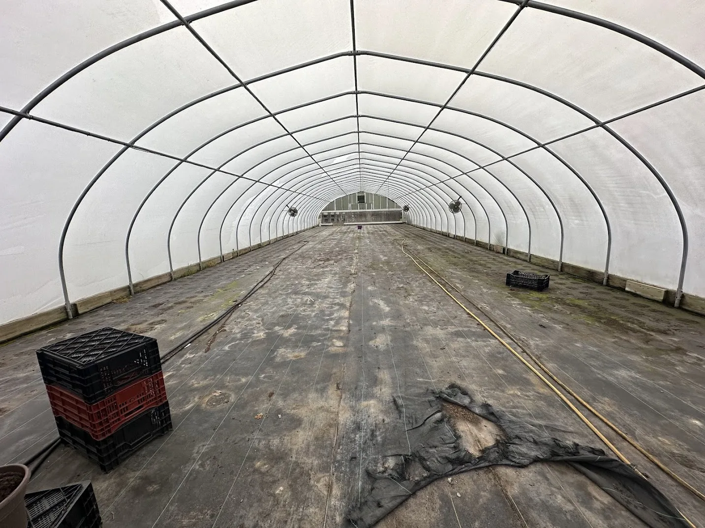 WHITE'S AUCTION LOT 28 - CF13 - X.S. Smith 30' x 96' Criterion Quonset Hoop Cold Frame Greenhouse, photo 4