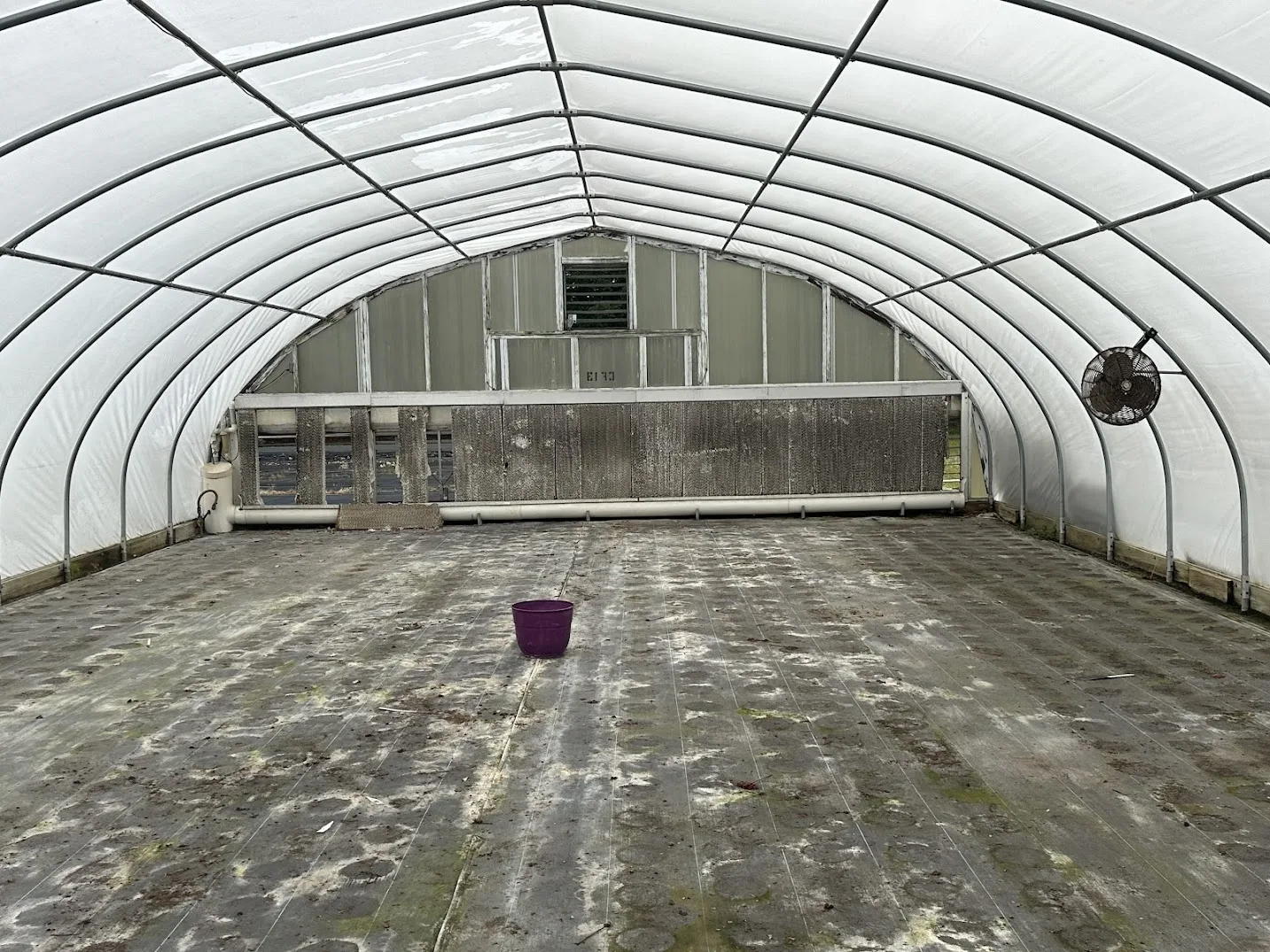 WHITE'S AUCTION LOT 28 - CF13 - X.S. Smith 30' x 96' Criterion Quonset Hoop Cold Frame Greenhouse, photo 5
