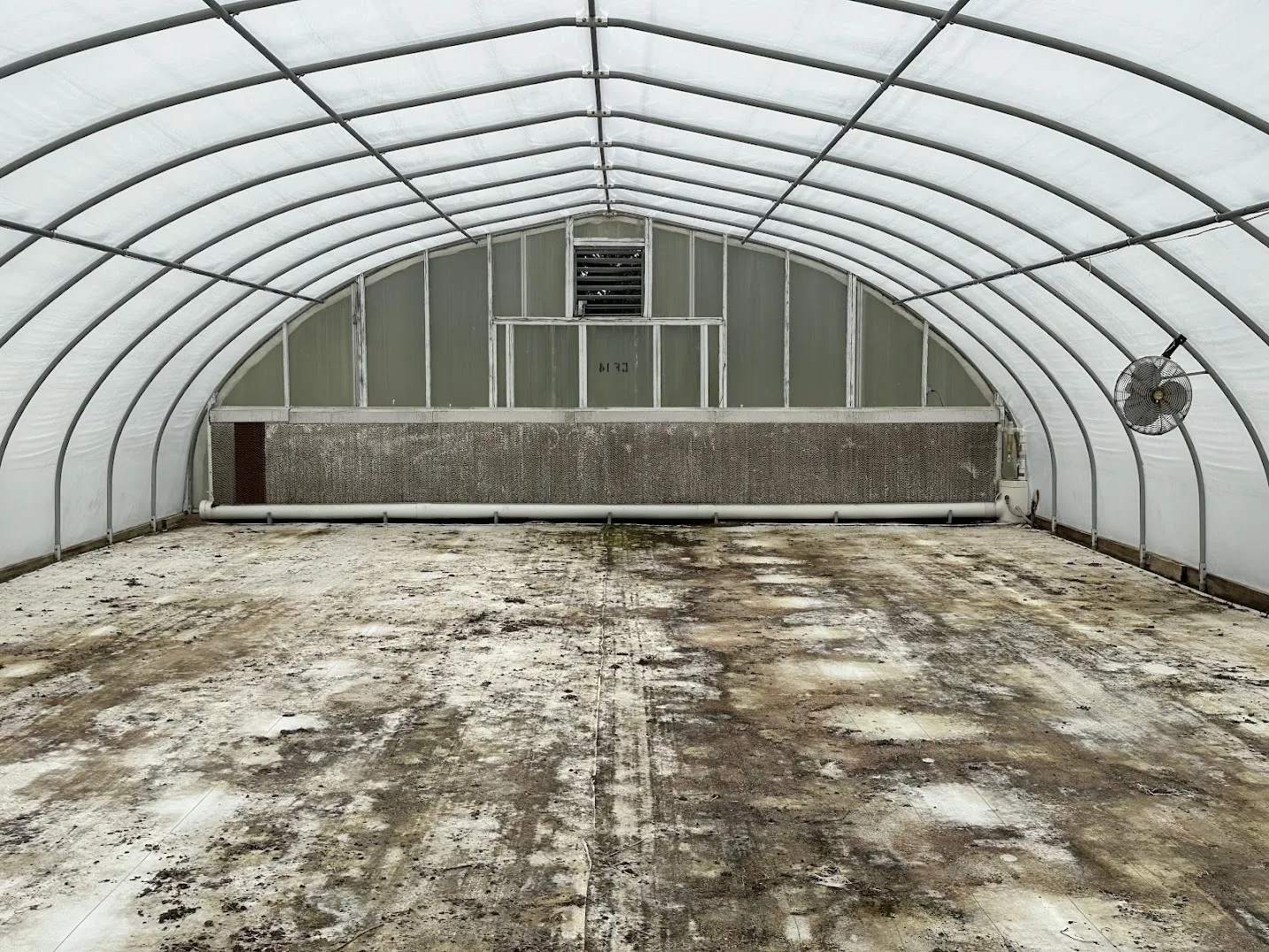 WHITE'S AUCTION LOT 29 - CF14 - X.S. Smith 30' x 96' Criterion Quonset Hoop Cold Frame Greenhouse, photo 5