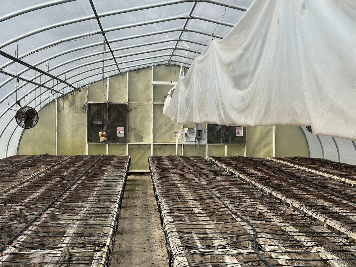 WHITE'S AUCTION LOT 3 - GH08 - X.S. Smith 30' x 96' Criterion Quonset Hoop Greenhouse, photo 2