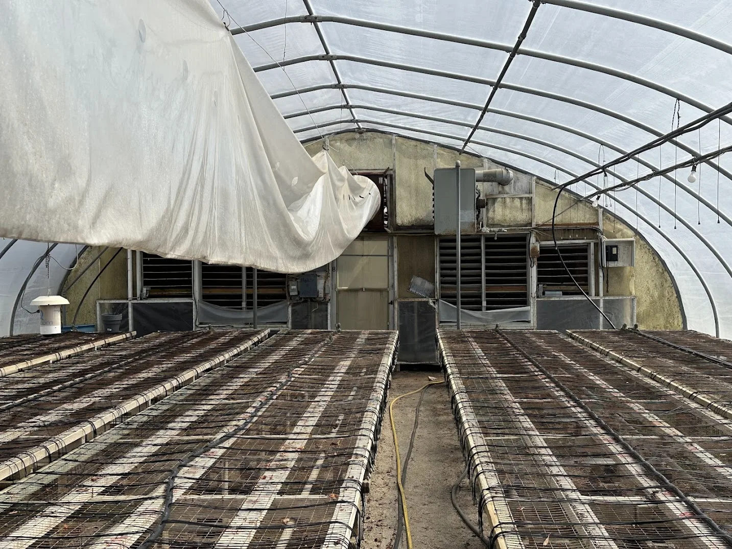 WHITE'S AUCTION LOT 3 - GH08 - X.S. Smith 30' x 96' Criterion Quonset Hoop Greenhouse, photo 5