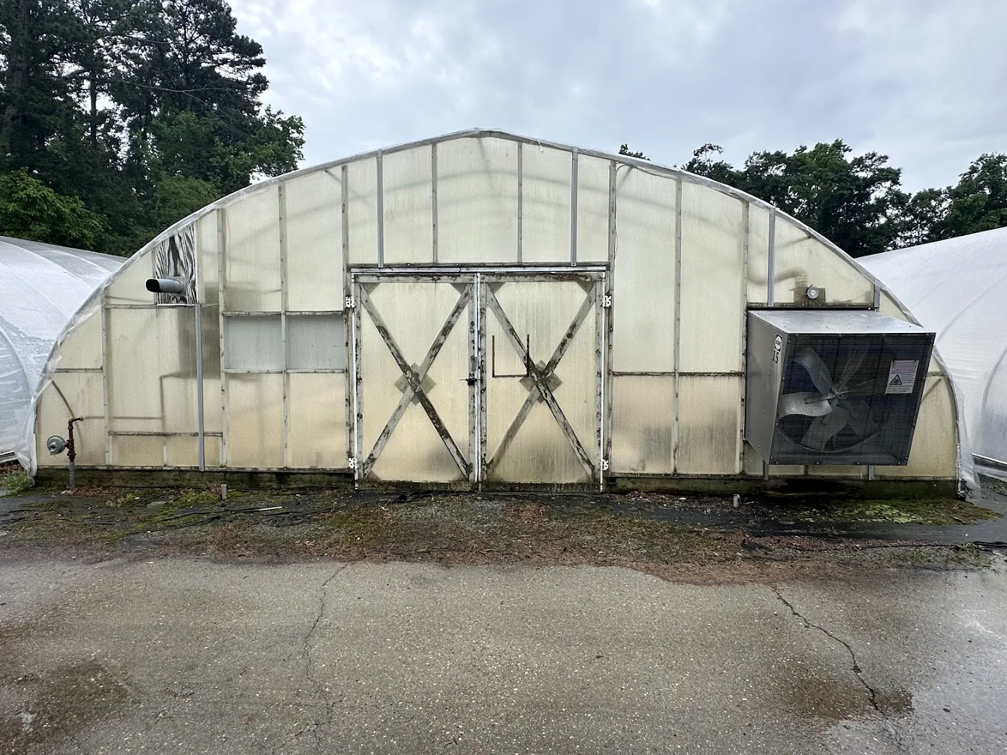WHITE'S AUCTION LOT 30 - CF15 - X.S. Smith 30' x 96' Criterion Quonset Hoop Cold Frame Greenhouse, photo 3