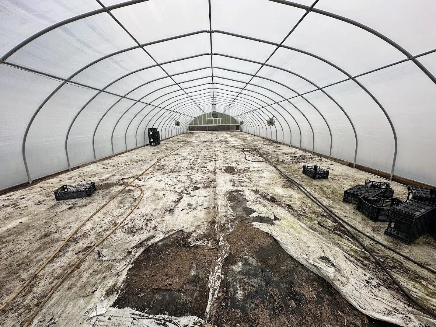 WHITE'S AUCTION LOT 30 - CF15 - X.S. Smith 30' x 96' Criterion Quonset Hoop Cold Frame Greenhouse, photo 4