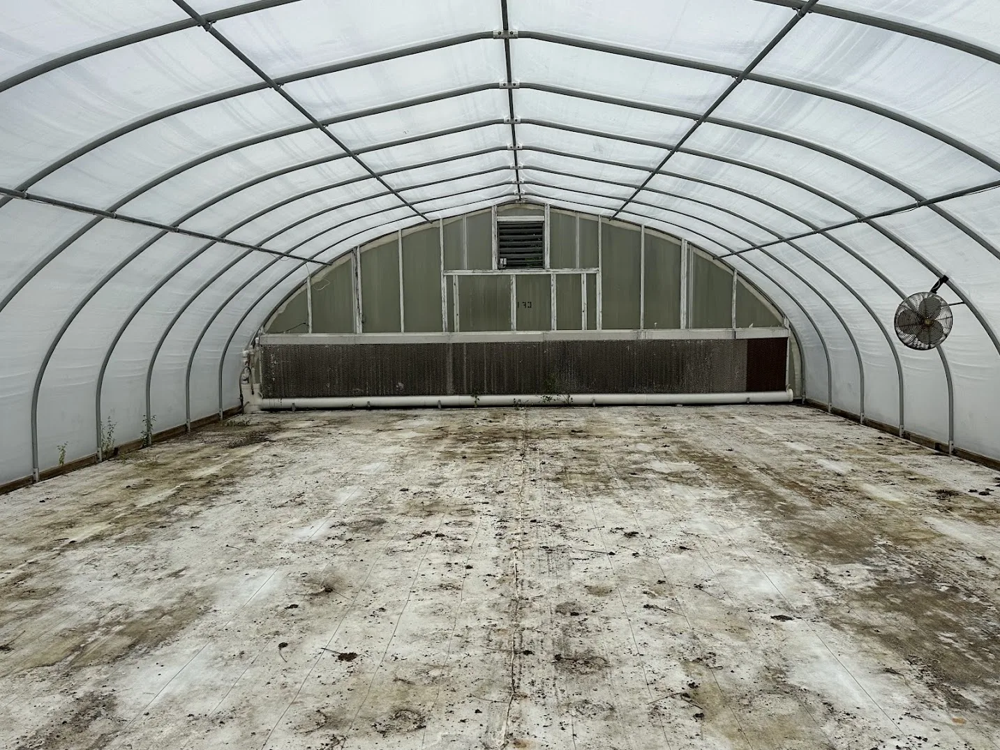WHITE'S AUCTION LOT 30 - CF15 - X.S. Smith 30' x 96' Criterion Quonset Hoop Cold Frame Greenhouse, photo 5