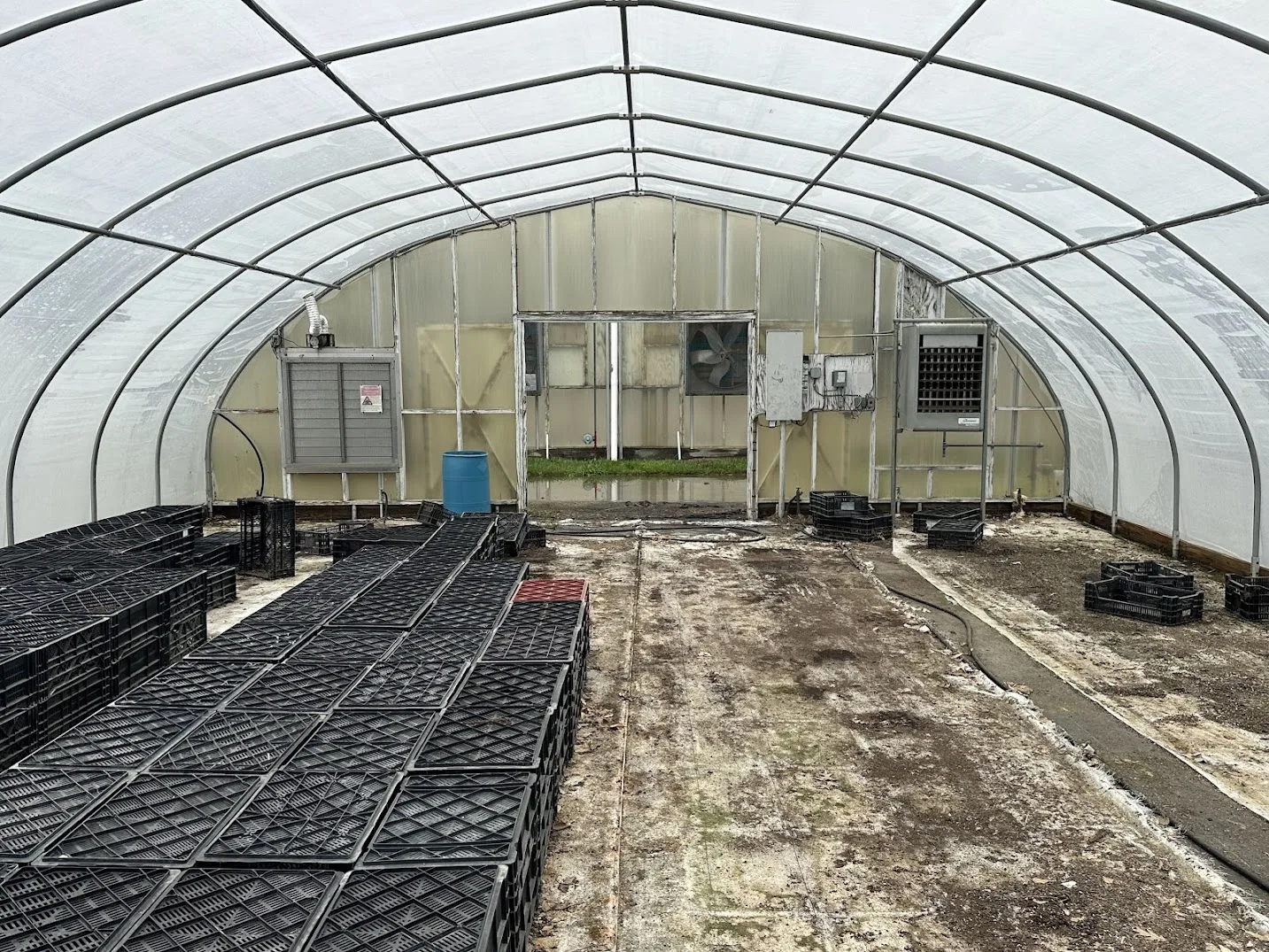 WHITE'S AUCTION LOT 31 - CF16 - X.S. Smith 30' x 96' Criterion Quonset Hoop Cold Frame Greenhouse, photo 2