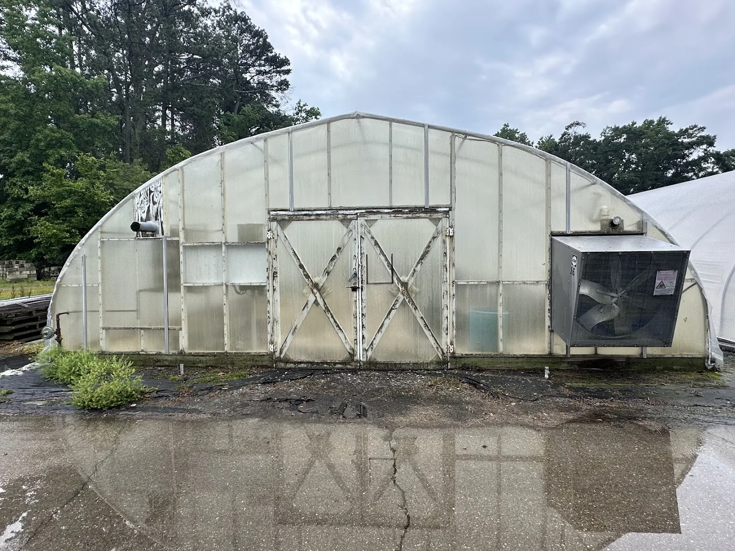 WHITE'S AUCTION LOT 31 - CF16 - X.S. Smith 30' x 96' Criterion Quonset Hoop Cold Frame Greenhouse, photo 3