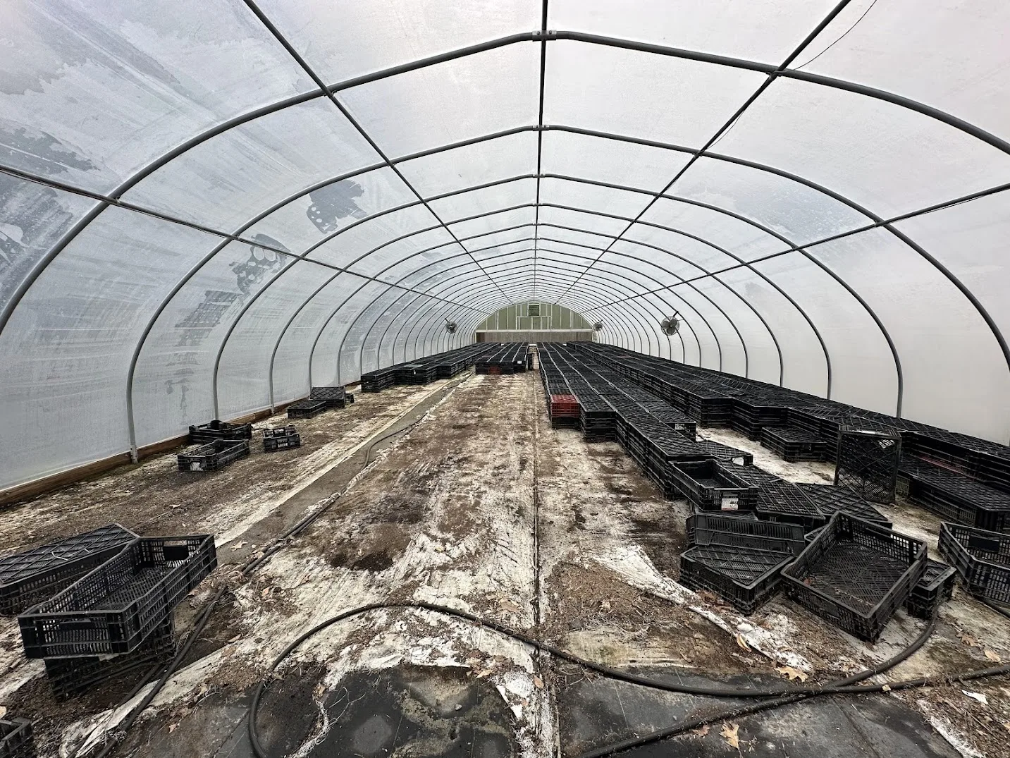 WHITE'S AUCTION LOT 31 - CF16 - X.S. Smith 30' x 96' Criterion Quonset Hoop Cold Frame Greenhouse, photo 4