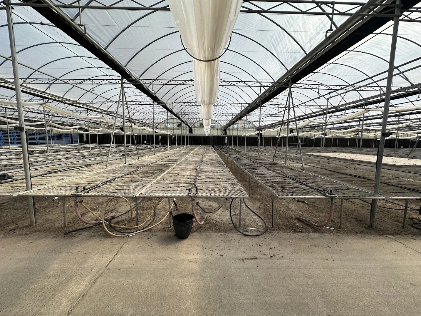 WHITE'S AUCTION LOT 32 - GH24 Expanded Metal Benches in Bays 19-24 - 36 Durable and Spacious Benches, photo 2
