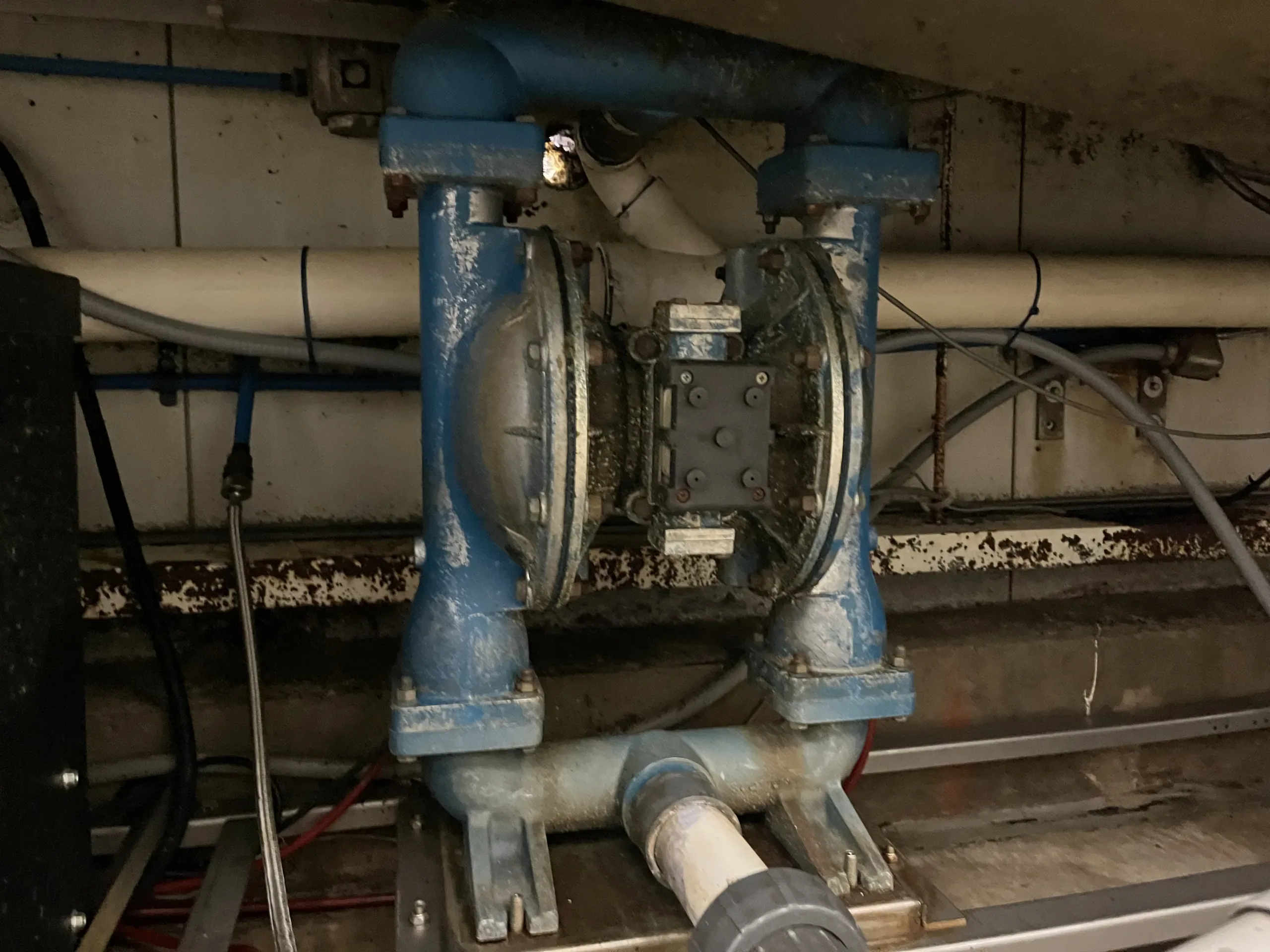 AEROFARMS LOT 38 - Salvajor 200 Food Waste Disposal System, photo 2