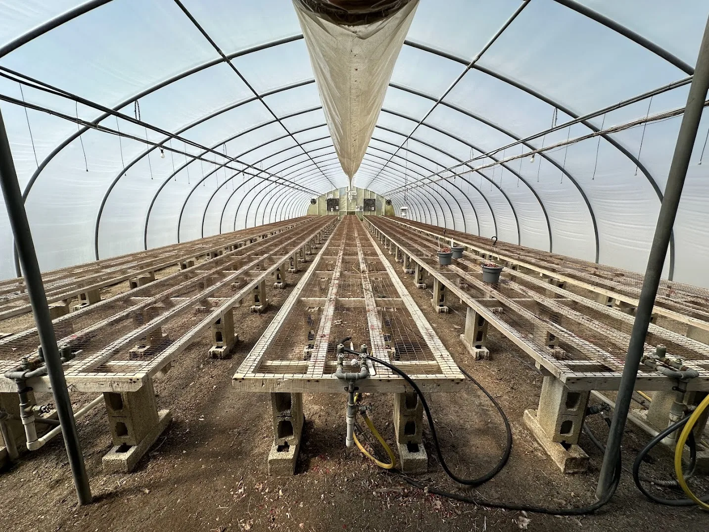 WHITE'S AUCTION LOT 4 - GH09 - X.S. Smith 30' x 96' Criterion Quonset Hoop Greenhouse, photo 2