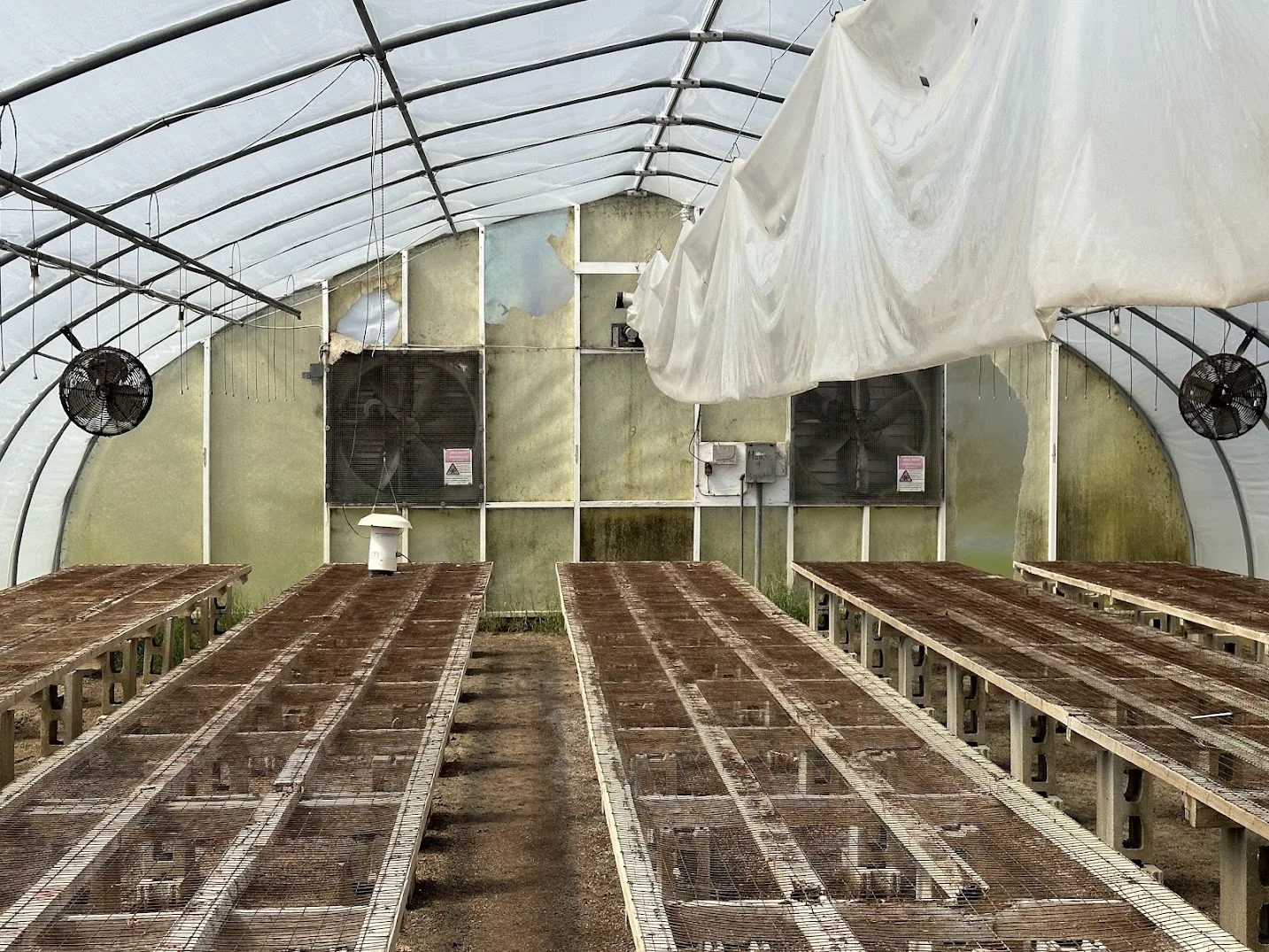 WHITE'S AUCTION LOT 4 - GH09 - X.S. Smith 30' x 96' Criterion Quonset Hoop Greenhouse, photo 3
