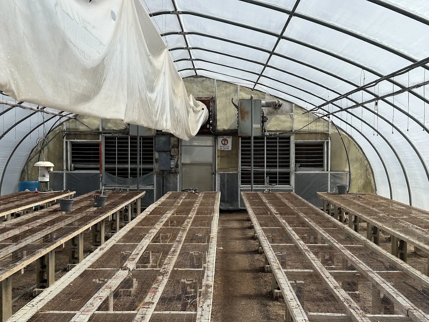WHITE'S AUCTION LOT 4 - GH09 - X.S. Smith 30' x 96' Criterion Quonset Hoop Greenhouse, photo 4