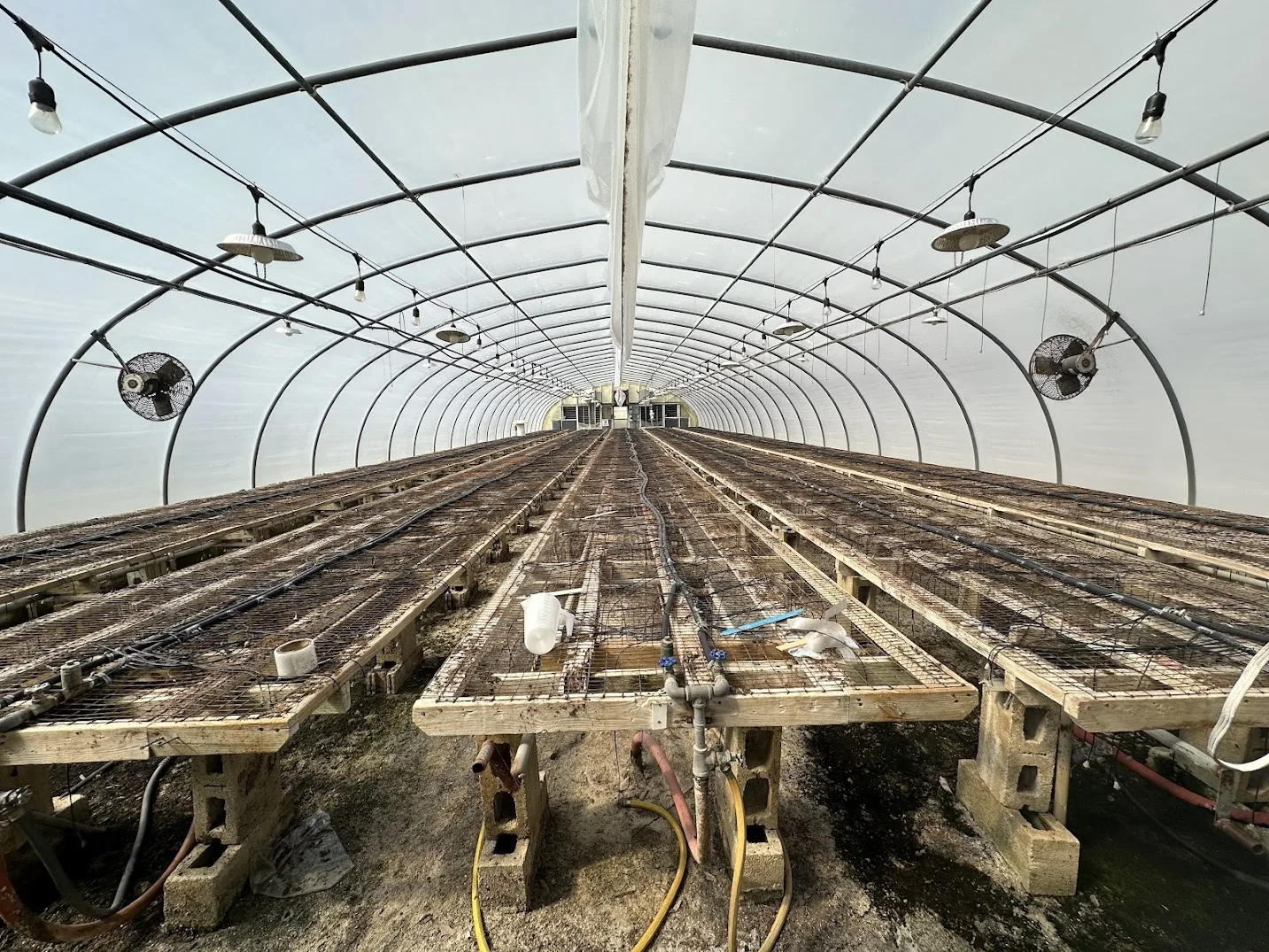 WHITE'S AUCTION LOT 5 - GH10 - X.S. Smith 30' x 96' Criterion Quonset Hoop Greenhouse, photo 3