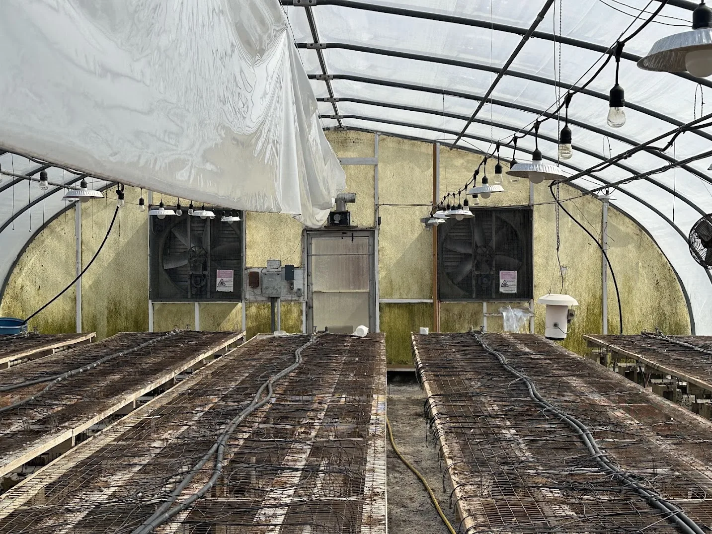 WHITE'S AUCTION LOT 5 - GH10 - X.S. Smith 30' x 96' Criterion Quonset Hoop Greenhouse, photo 4