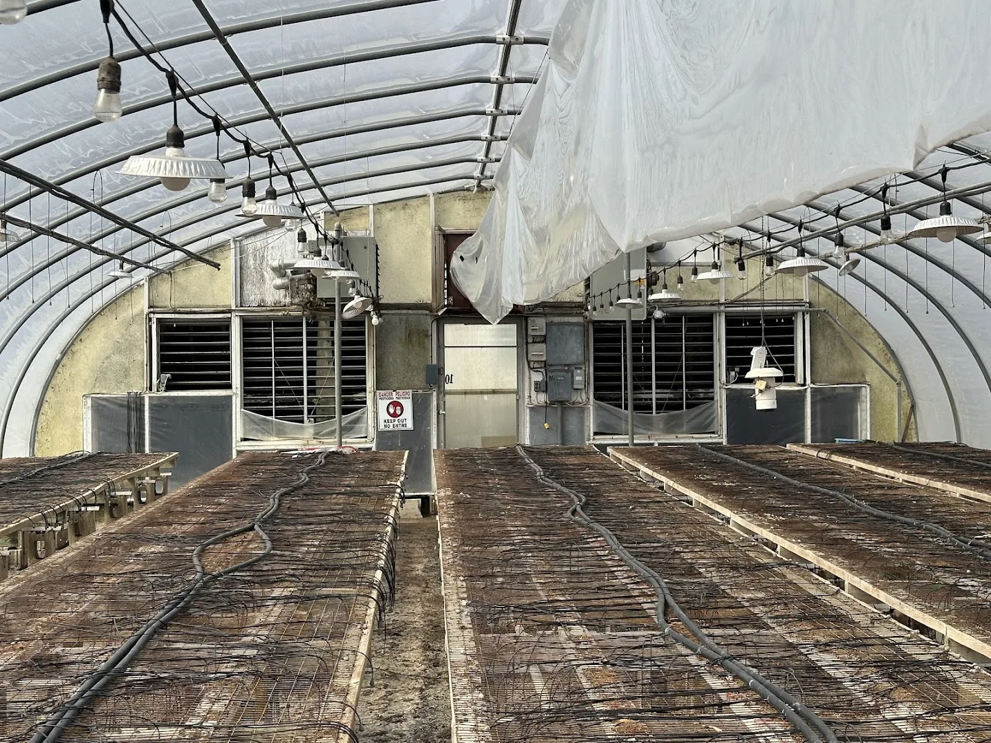 WHITE'S AUCTION LOT 5 - GH10 - X.S. Smith 30' x 96' Criterion Quonset Hoop Greenhouse, photo 5