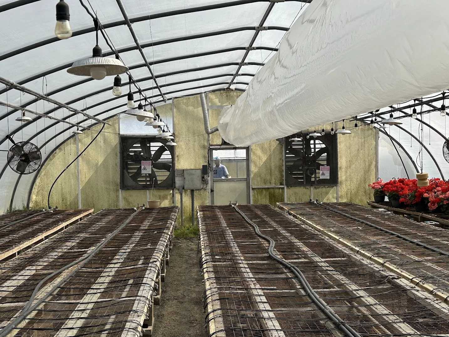 WHITE'S AUCTION LOT 7 - GH12 - X.S. Smith 30' x 96' Criterion Quonset Hoop Greenhouse, photo 3