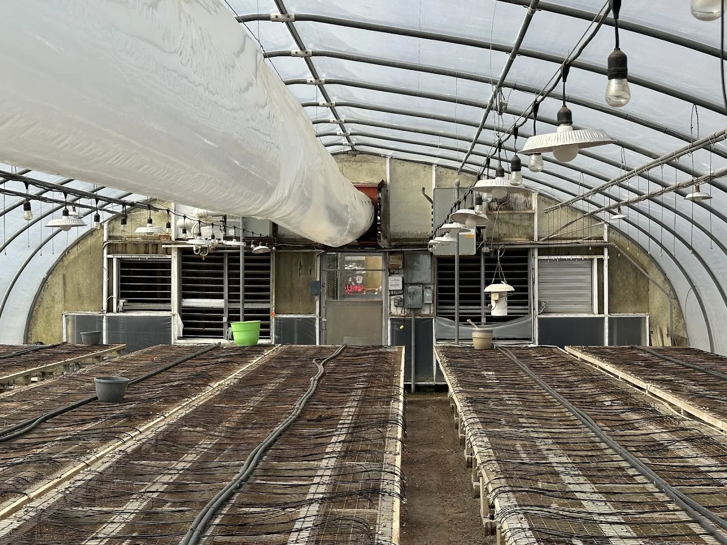 WHITE'S AUCTION LOT 7 - GH12 - X.S. Smith 30' x 96' Criterion Quonset Hoop Greenhouse, photo 5
