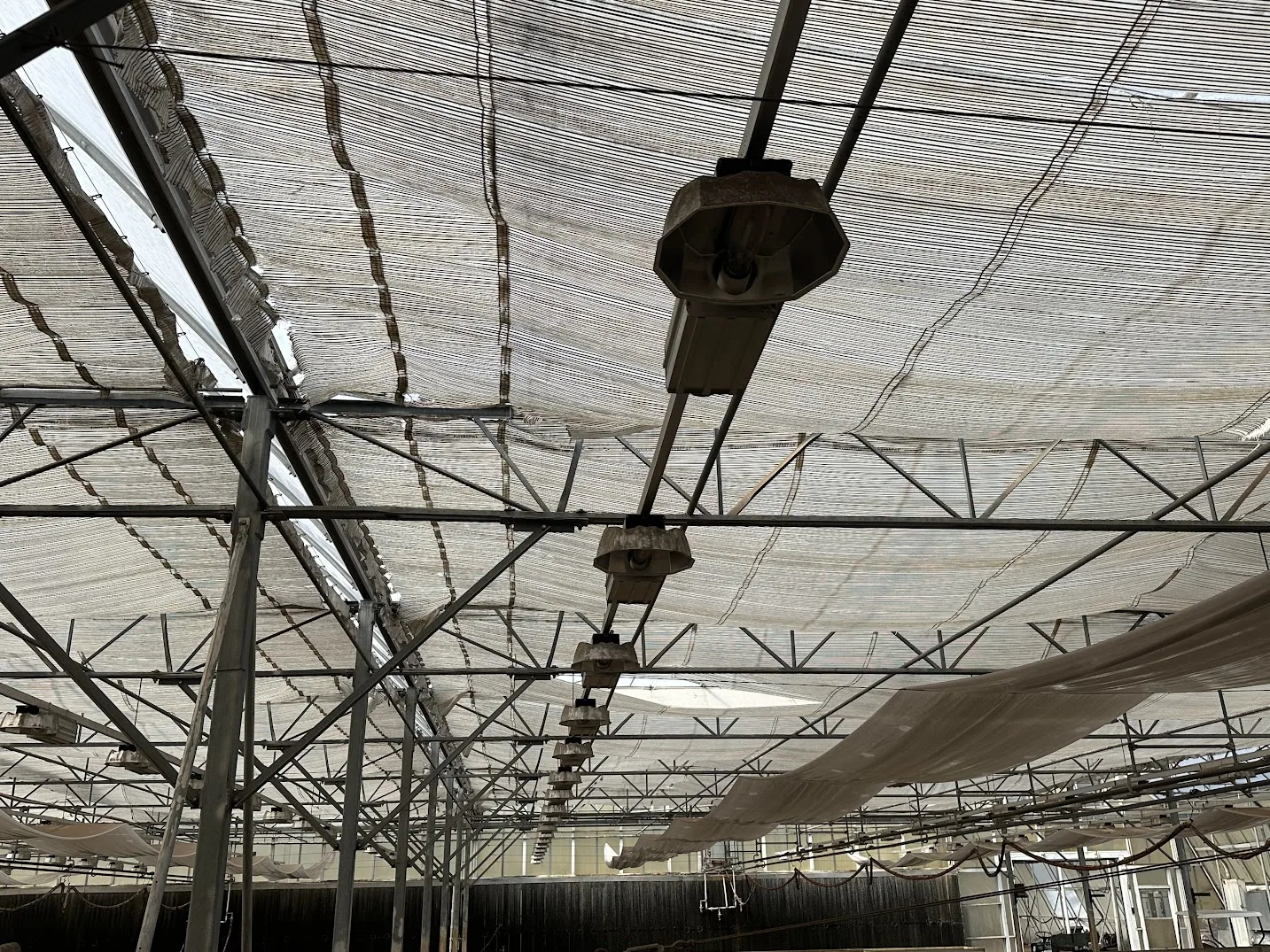 WHITE'S AUCTION LOT 88 - Lot of 25 400-Watt HPS Lights Located in Greenhouse 25 Starting Area, photo 3