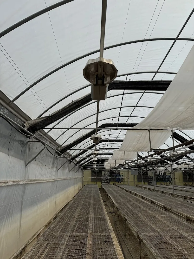 WHITE'S AUCTION LOT 96 - Lot of 25 PL Light Systems 400-Watt HPS Lights - Located in Greenhouse 23 Starting Area, photo 2