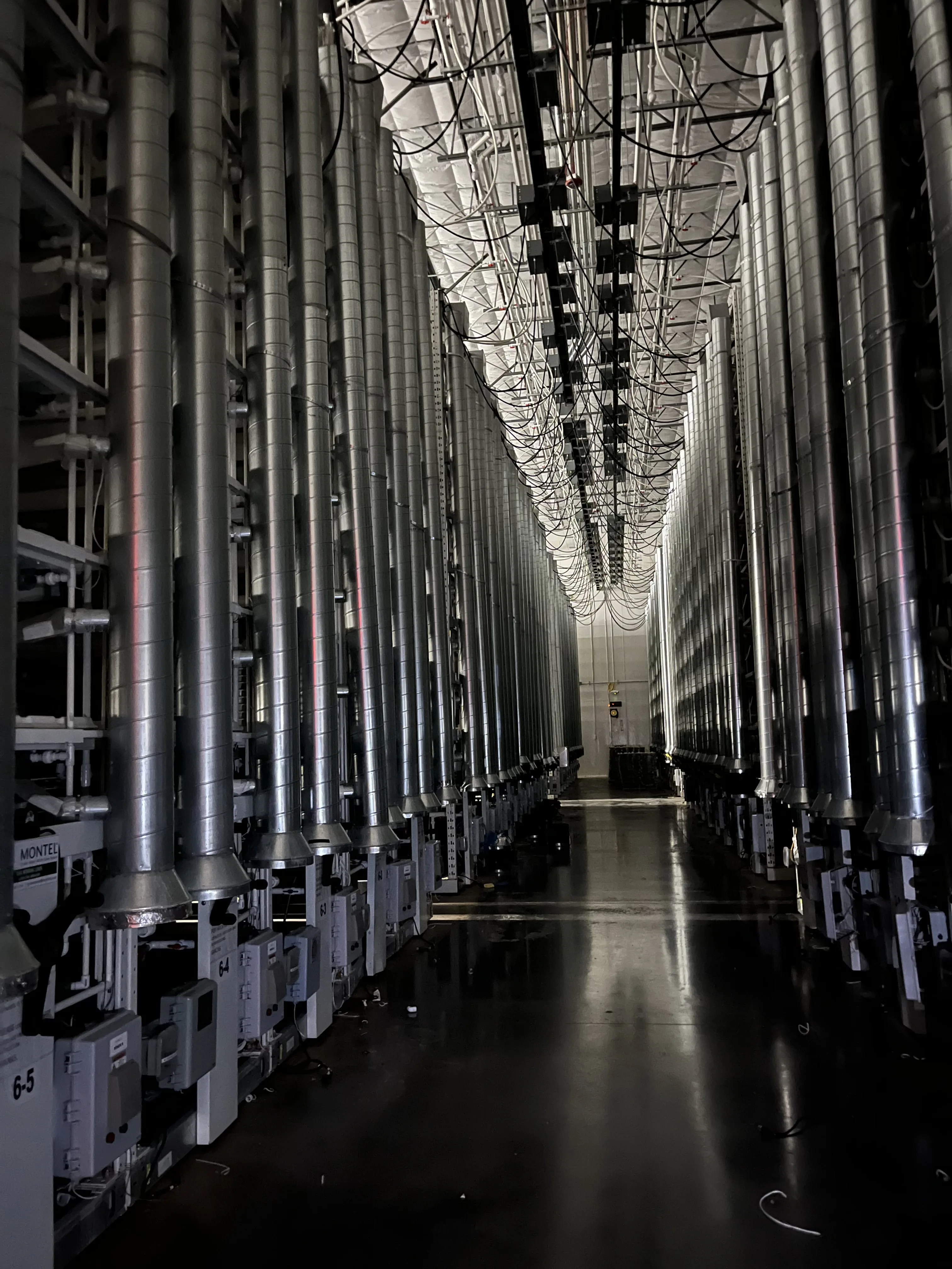 Auction Lot: Advanced Indoor Vertical Farming Facility with Montel Racking and Philips LED Lighting, photo 3