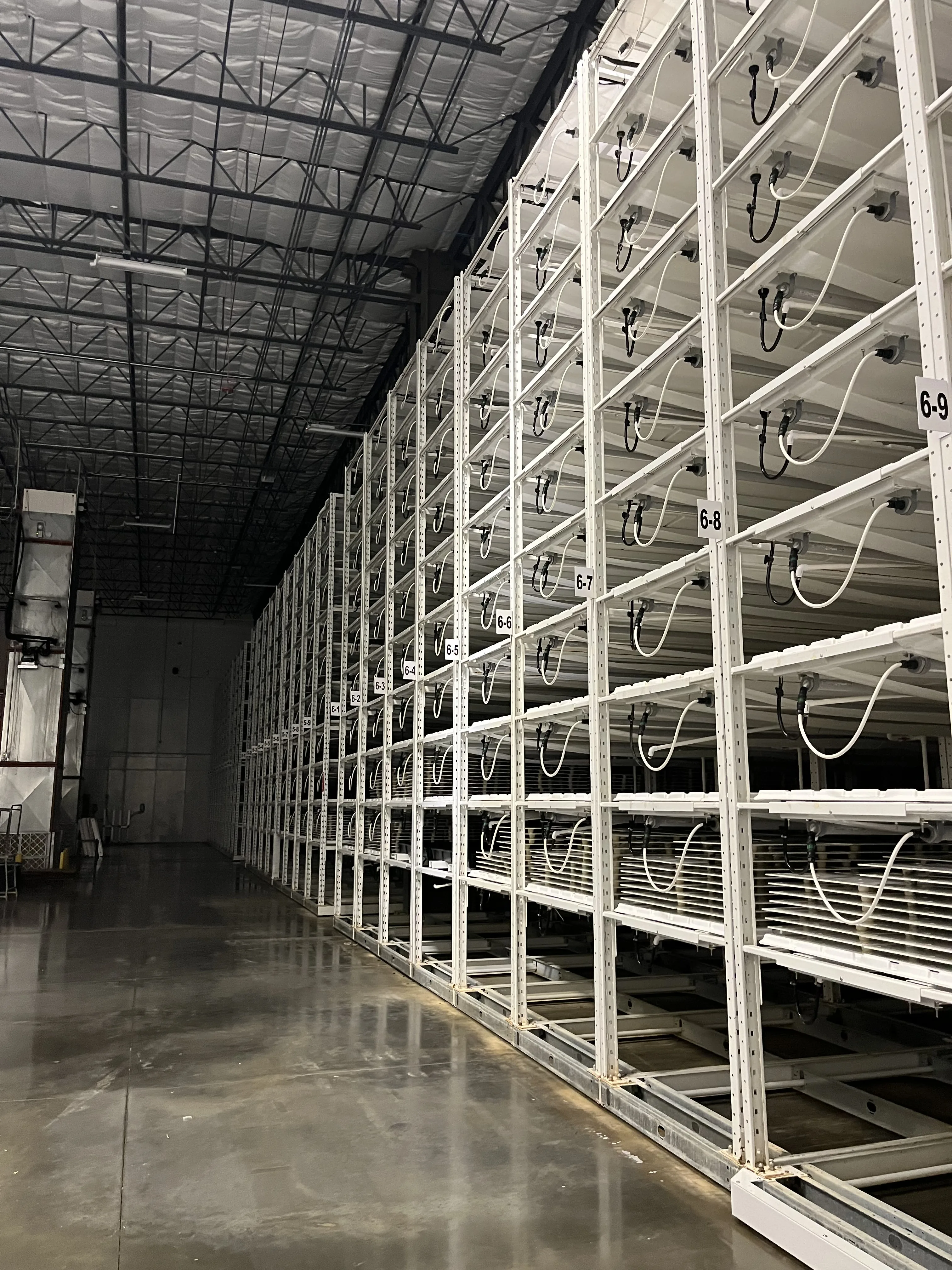 Auction Lot: Advanced Indoor Vertical Farming Facility with Montel Racking and Philips LED Lighting, photo 4
