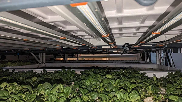 Fluence Spyder 2x LED Grow Light System with Full-Spectrum, Dimmable Control, and Essential Accessories - Bid on LED Lighting Technology Located in the Tri-State Area!, photo 7