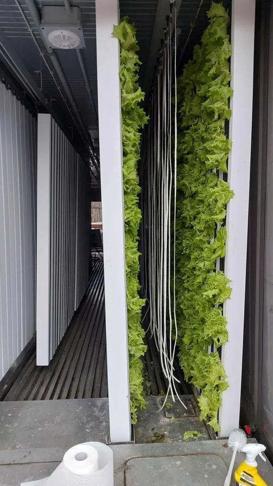 Freight Farms Hydroponic Container: Sustainable High-Yield Farming Solution, photo 2
