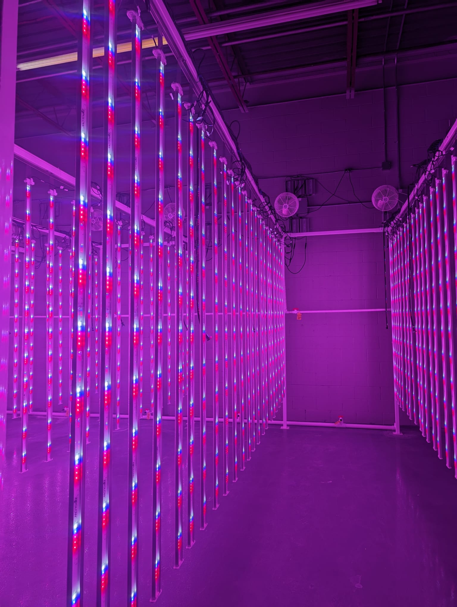 Complete Commercial Vertical Farming System with LED Grow Lights and Environmental Controls in Ontario, photo 2