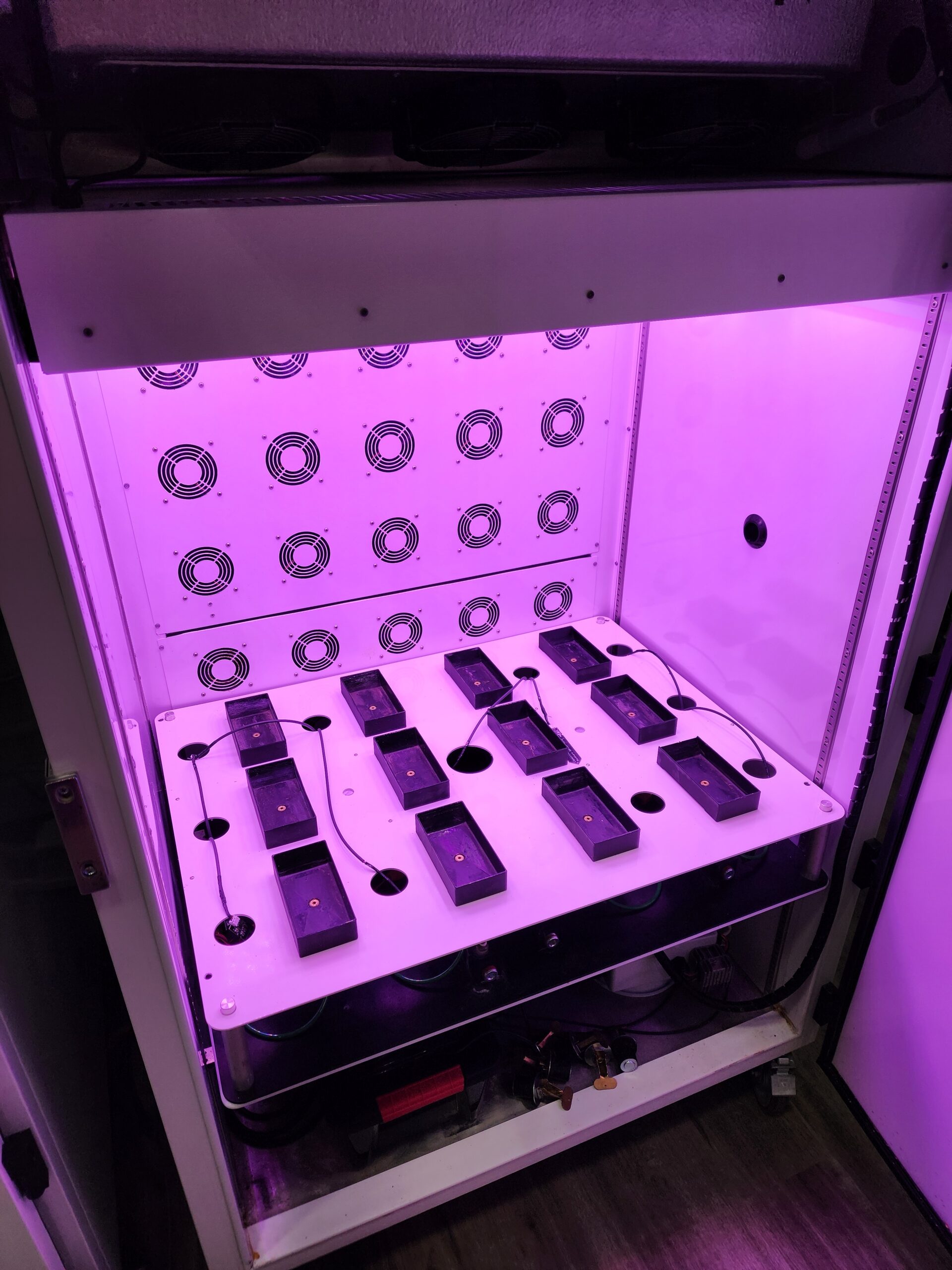 Percival Scientific LED-41L1 Plant Growth Chambers - Grand Rapids, Michigan, photo 4