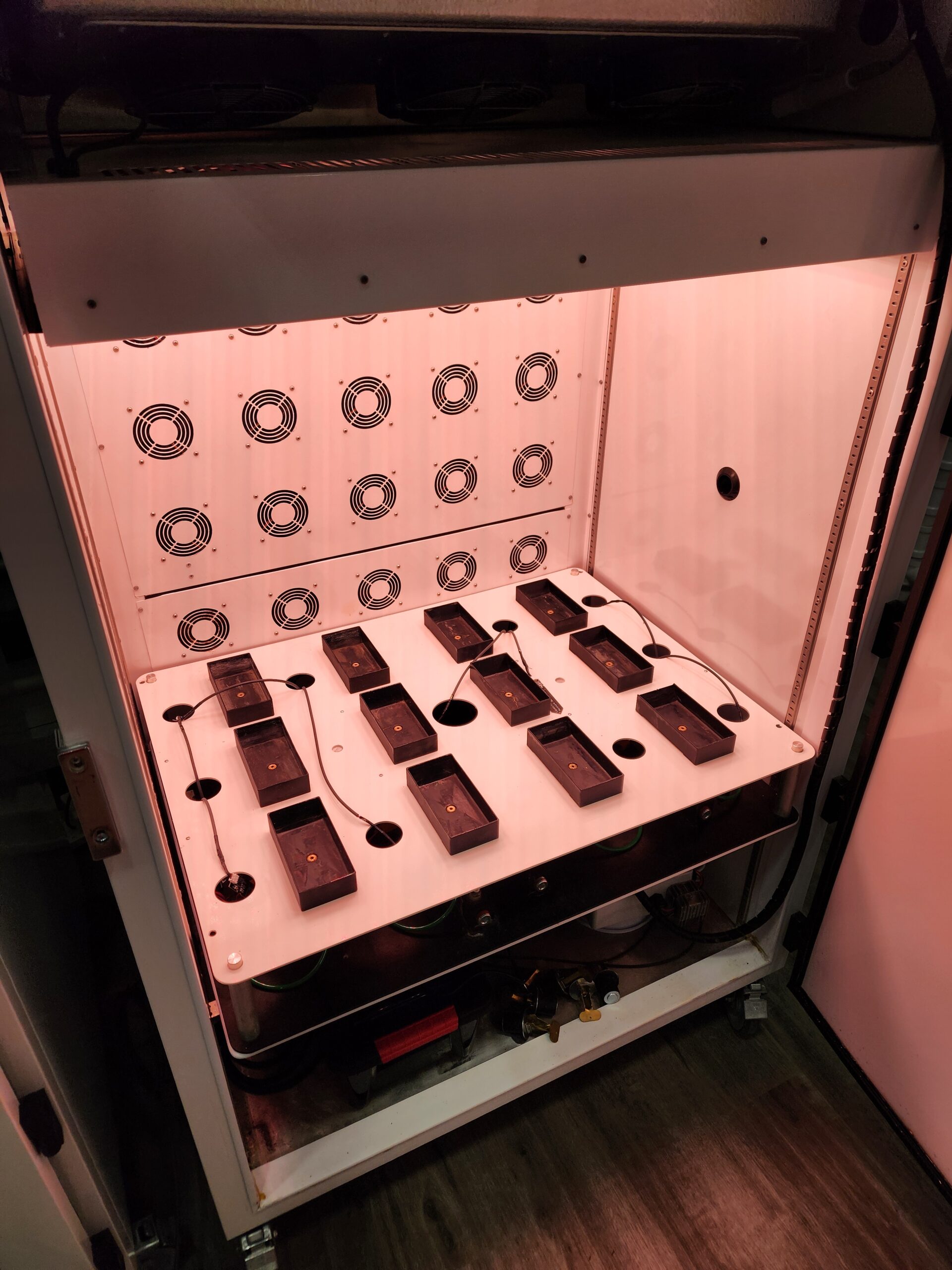 Percival Scientific LED-41L1 Plant Growth Chambers - Grand Rapids, Michigan, photo 5