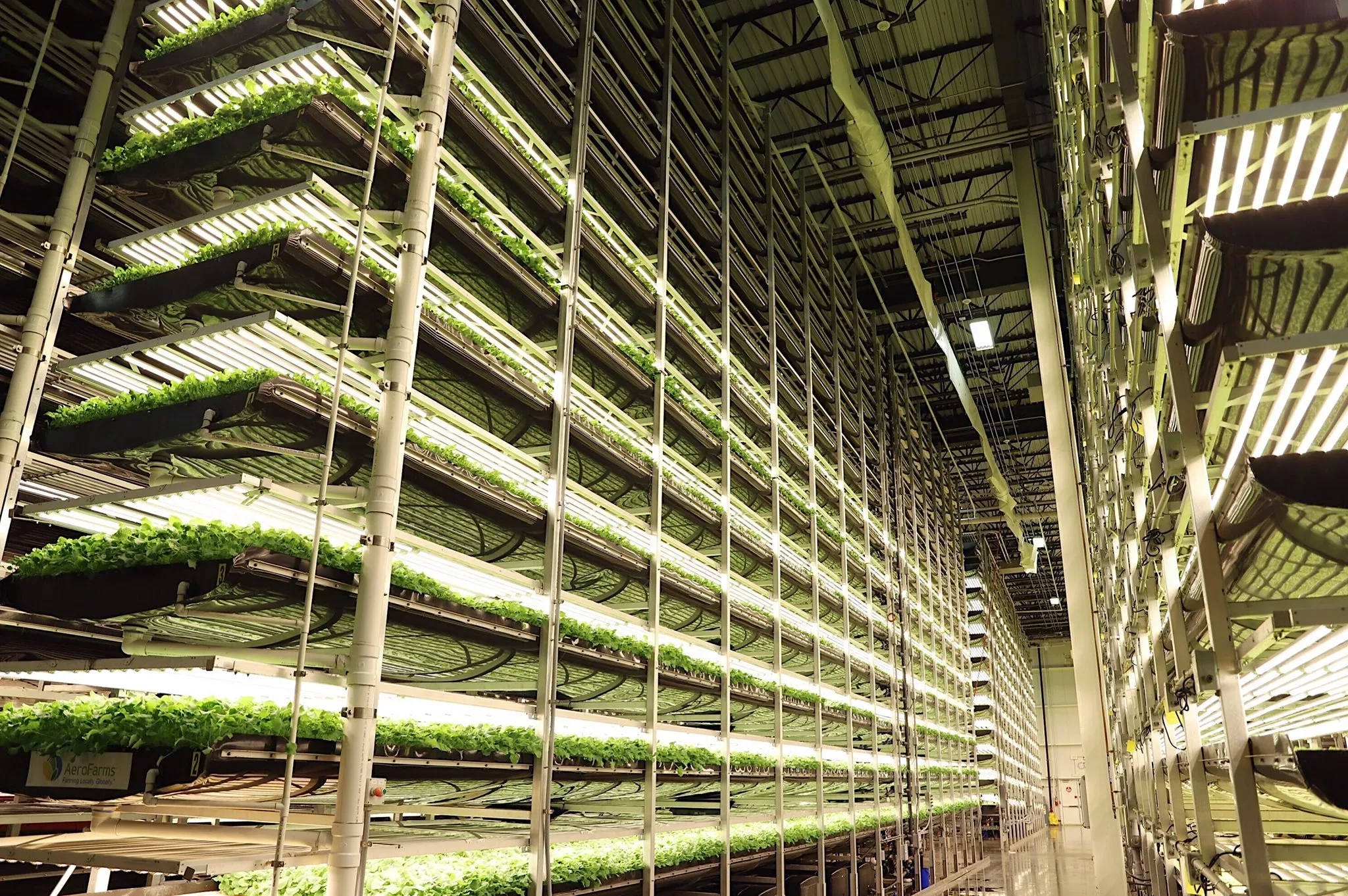 Complete Turn-Key Vertical Farm Solution: 48,000 sq. ft. Cultivation Space, photo 2