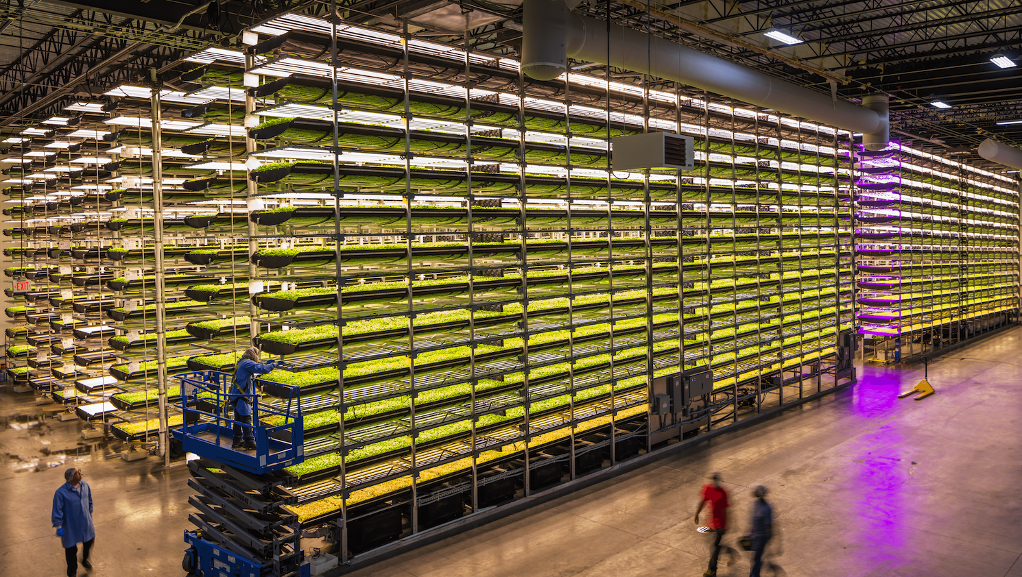 Complete Turn-Key Vertical Farm Solution: 48,000 sq. ft. Cultivation Space, photo 5