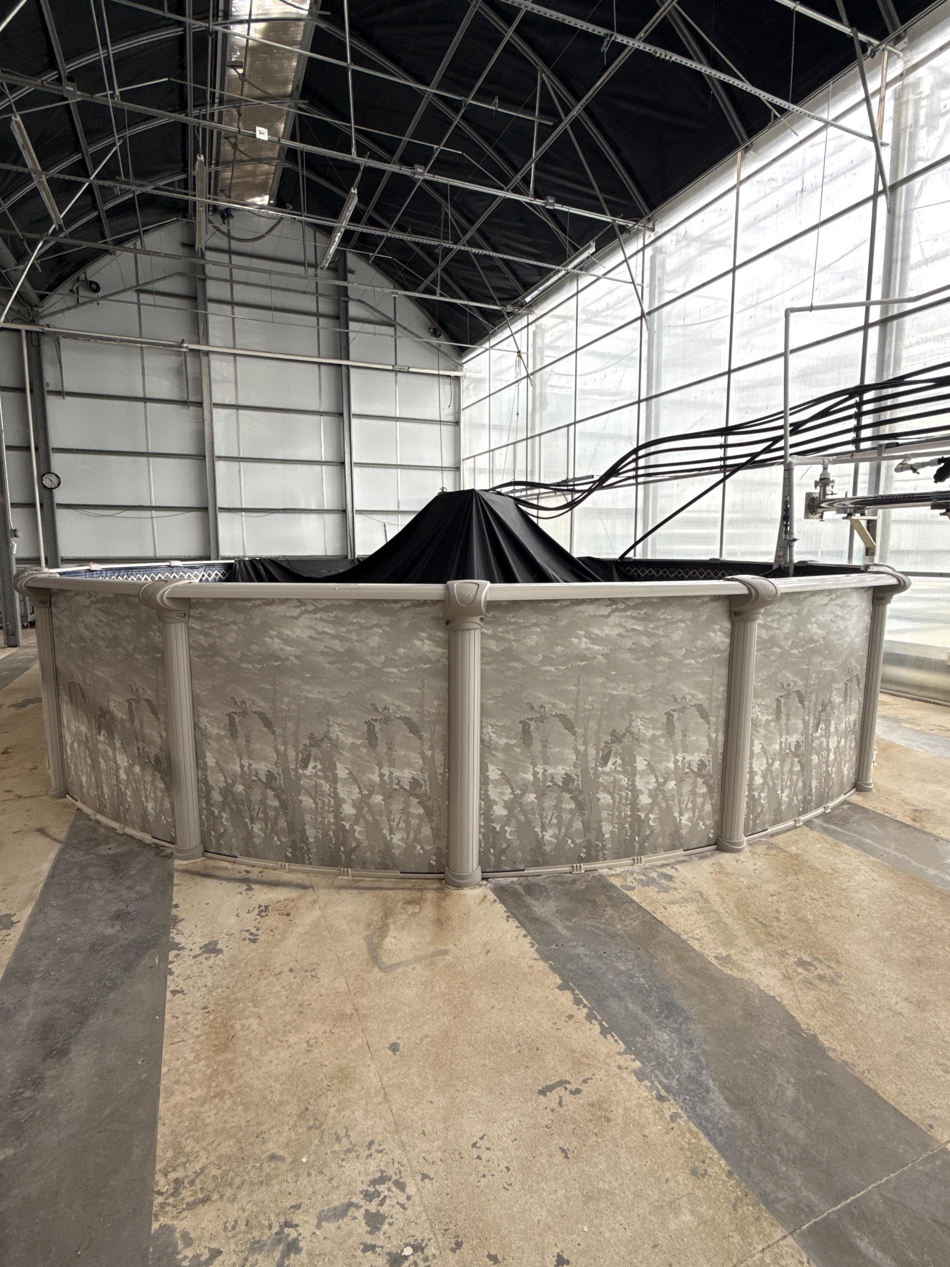 24’ Diameter Above Ground Tank / Pool – 53” Tall – Greenhouse / Aquaculture / Water Storage, photo 2