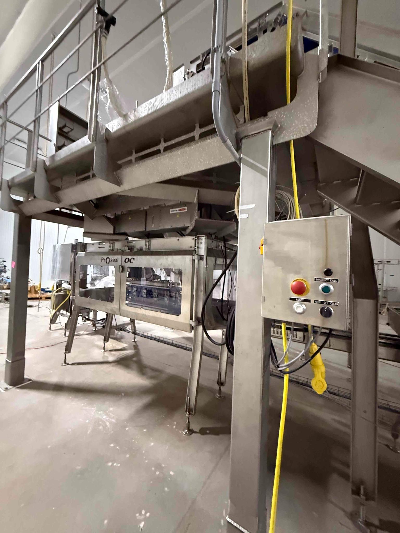 SB130 Ishida Combination Weigher with Proseal Packaging Conveyor Line, photo 2