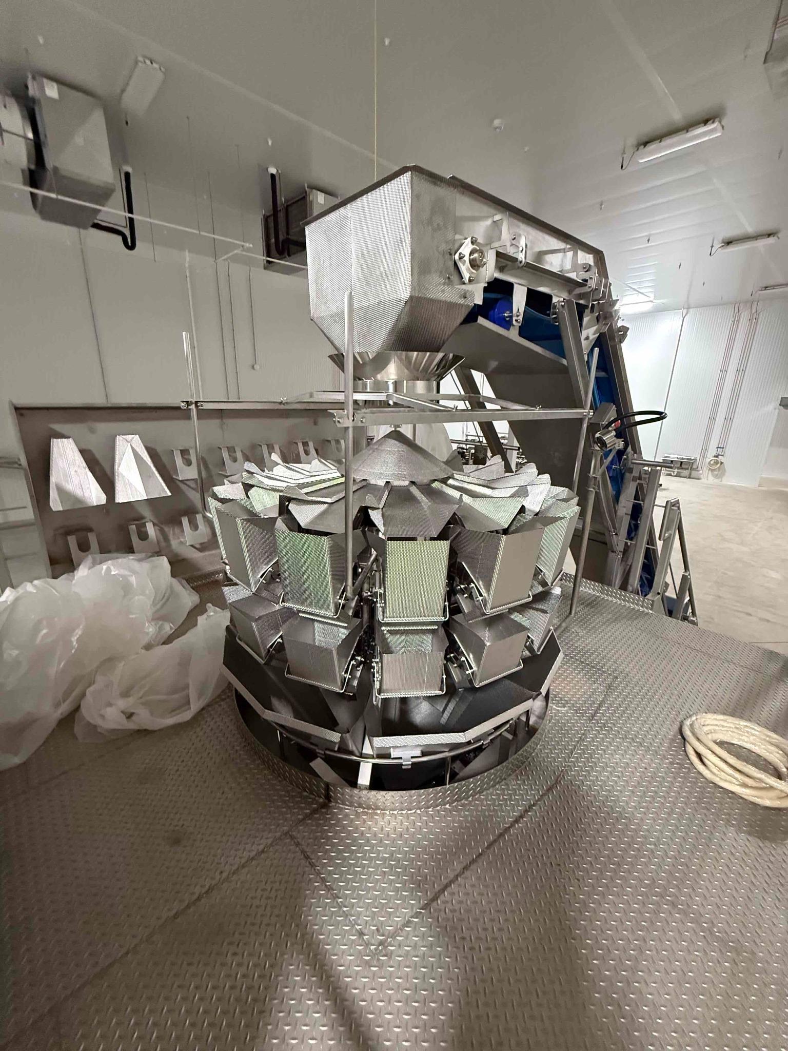 SB130 Ishida Combination Weigher with Proseal Packaging Conveyor Line, photo 4