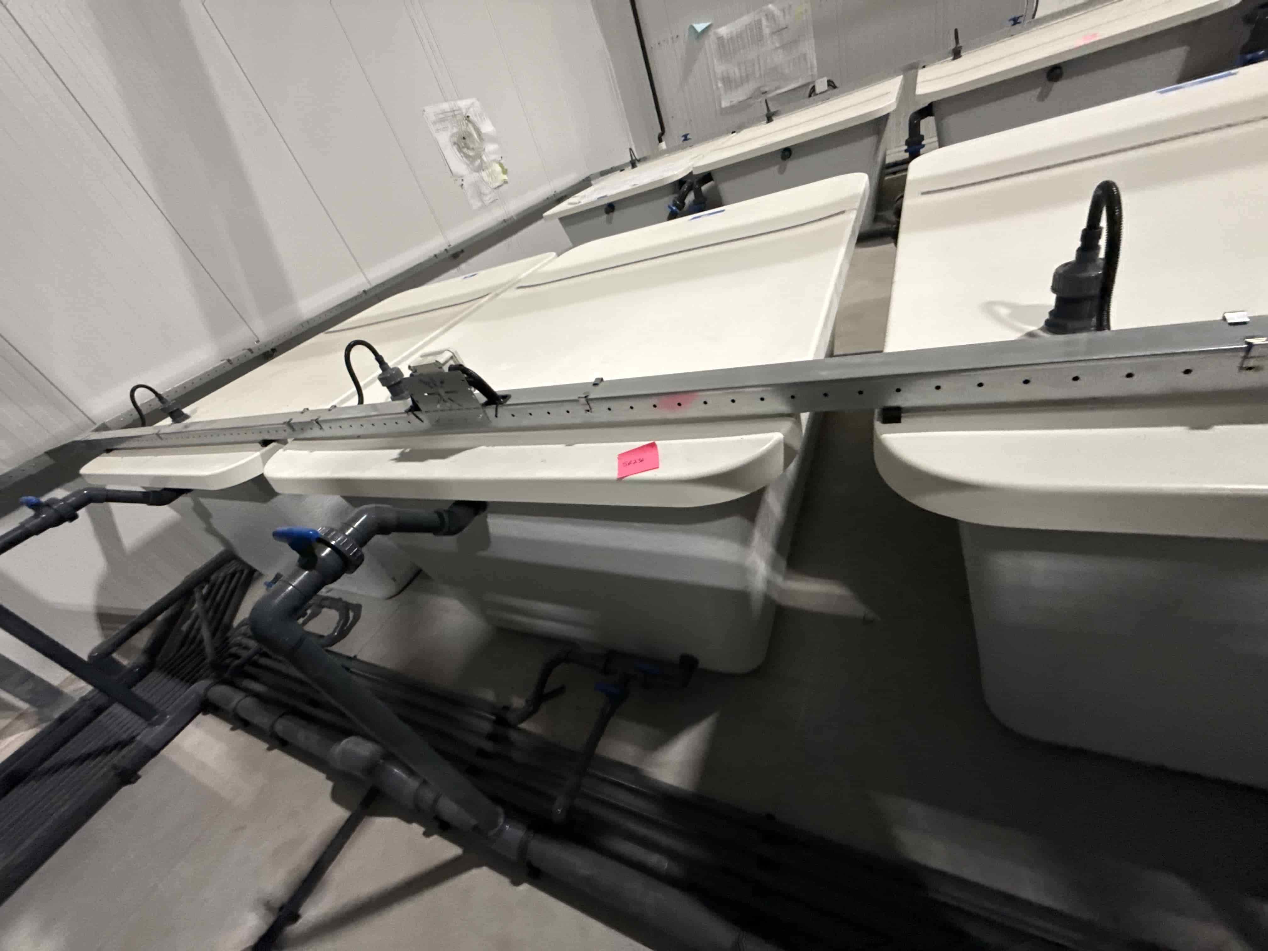 SB236: Polyethylene Process Tanks – (5) White Acid / Nutrient Tanks with PVC Manifold and Electrical Connections, photo 2