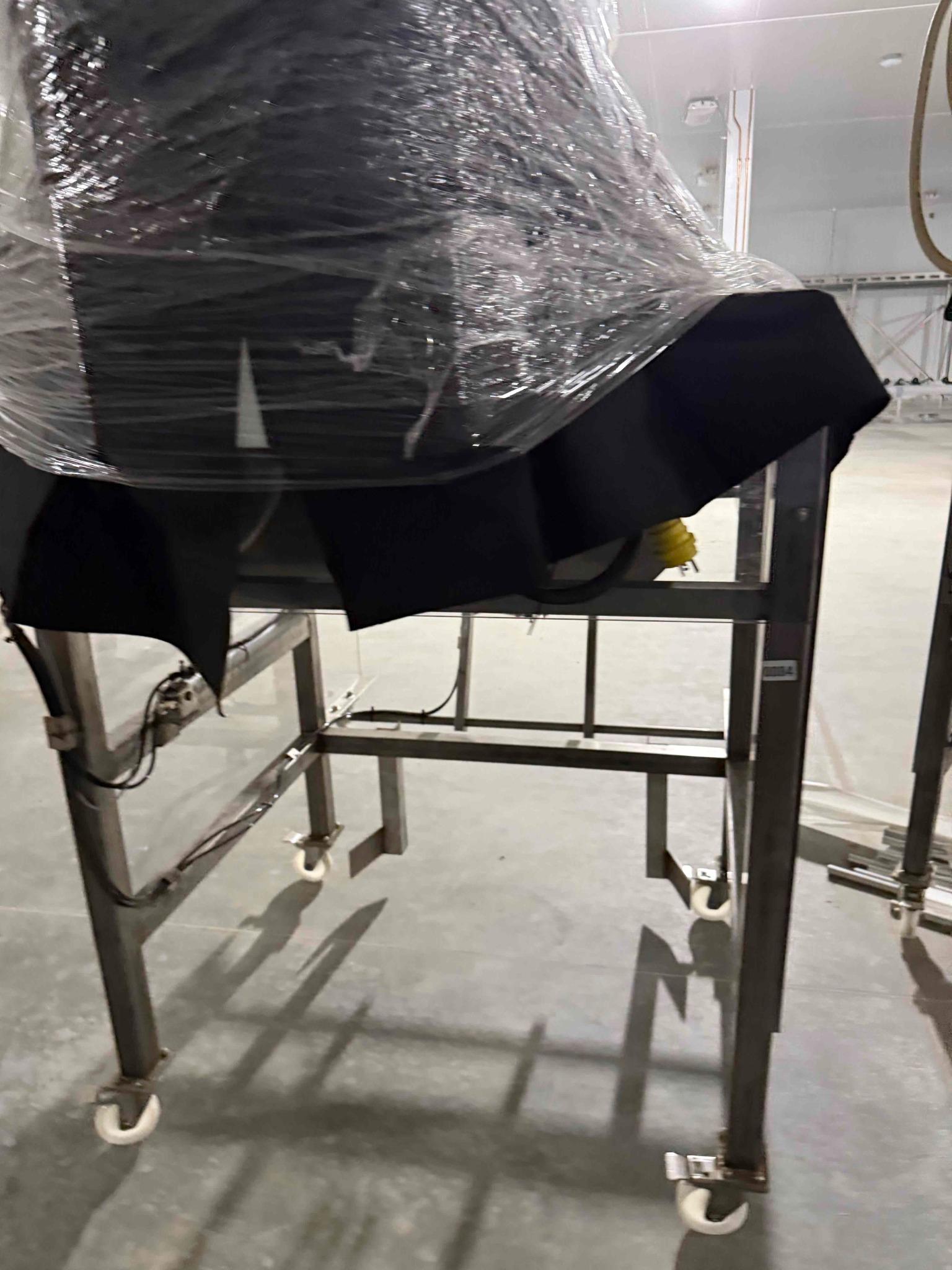 SB58: Stainless Steel Automated Sorting or Packaging Machine, photo 3
