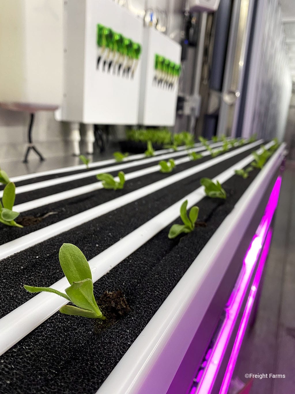 Freight Farms “Greenery” Hydroponic Vertical Farming Container – Turnkey System located in Sammamish, WA, photo 4