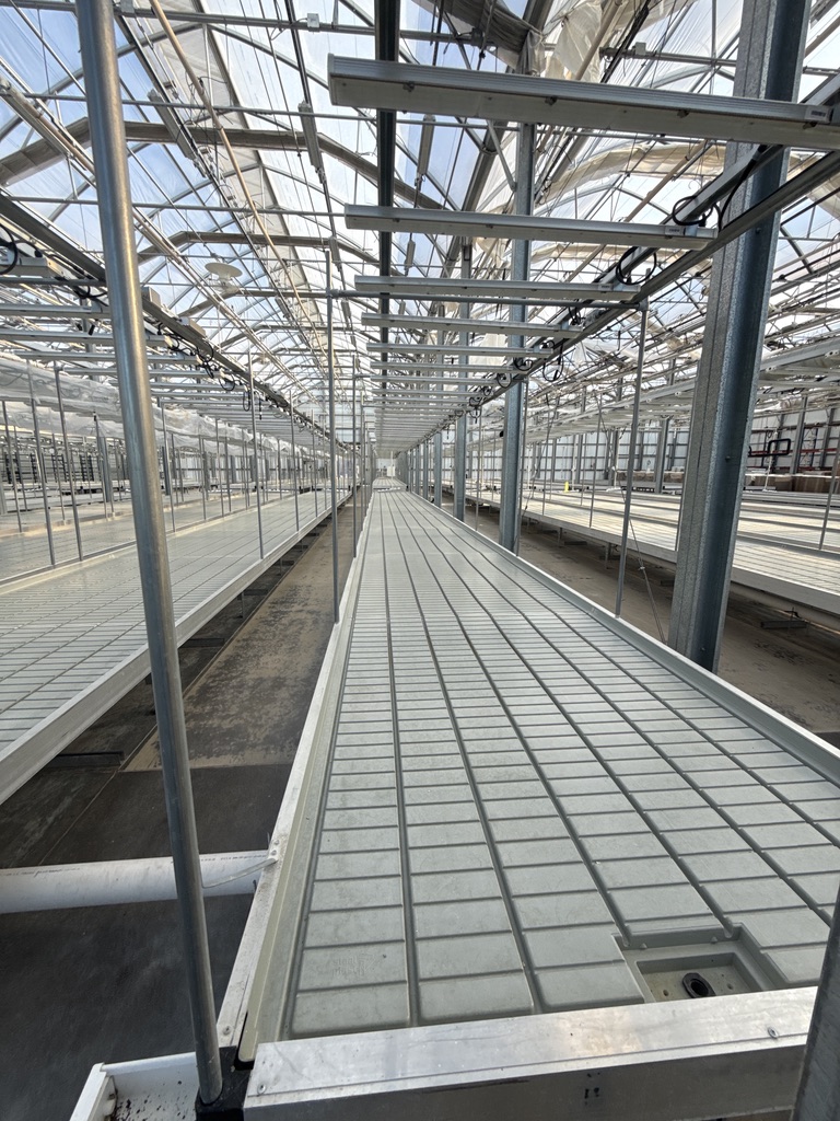 Complete Grow Row Package: (4) Rolling Benches with Trays + Arize ML300 LED System (1,190 SF Canopy), photo 2