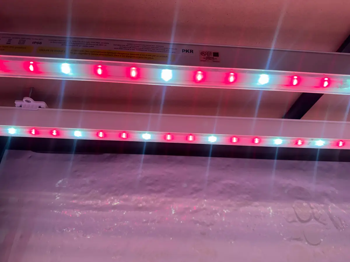 44 ct. Verjure™ Arize® Life2 4ft LED Grow Light – Broad Spectrum (BRI) for Versatile Vertical Farming