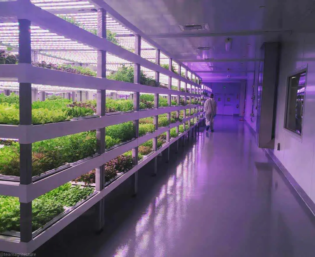 Complete Vertical Farming Setup from Oasis Biotech - $9.6M MSRP Value