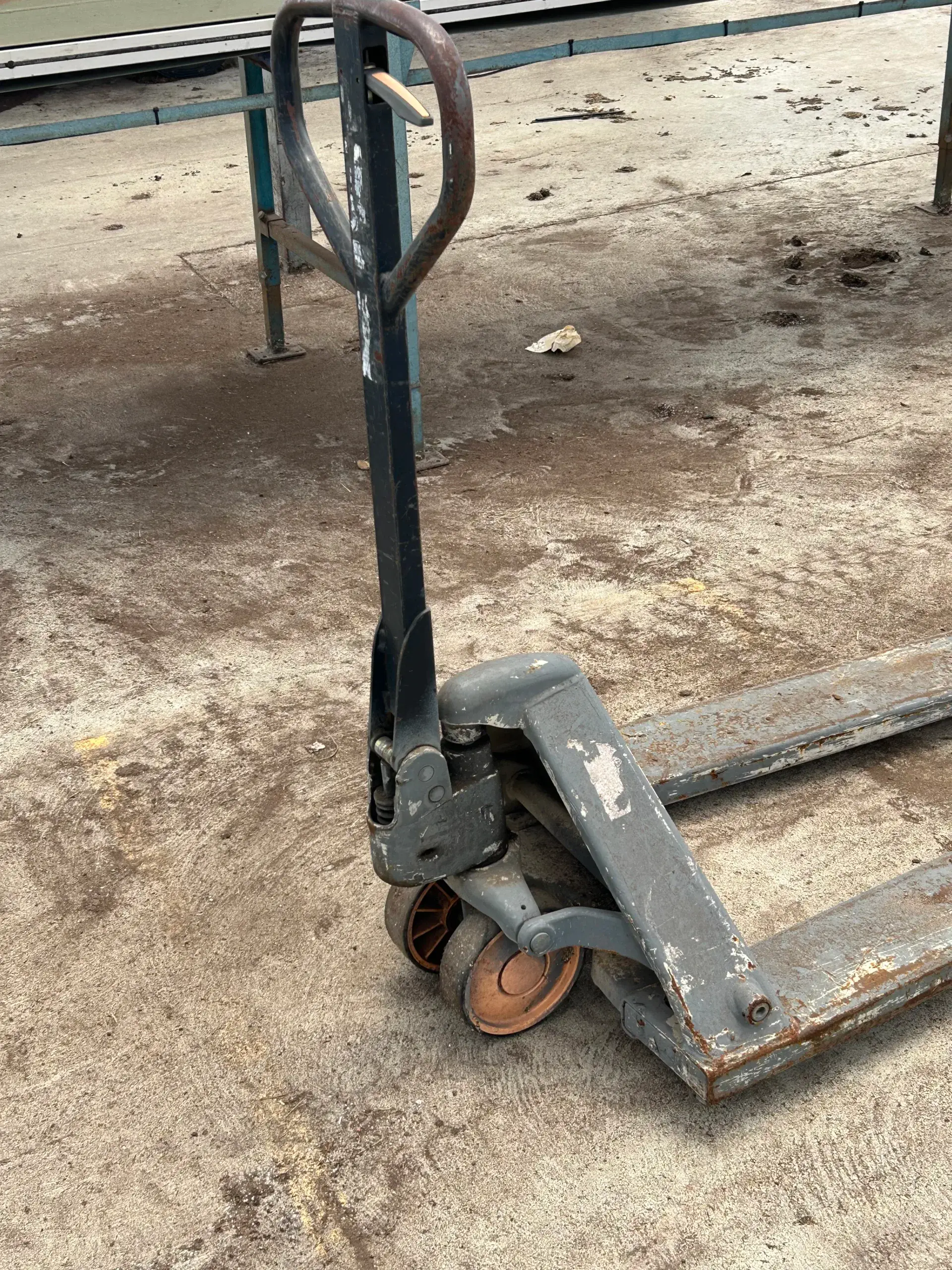WHITE'S AUCTION LOT 437 - Used Pallet Jack Located in Greenhouse 22 Starting Area