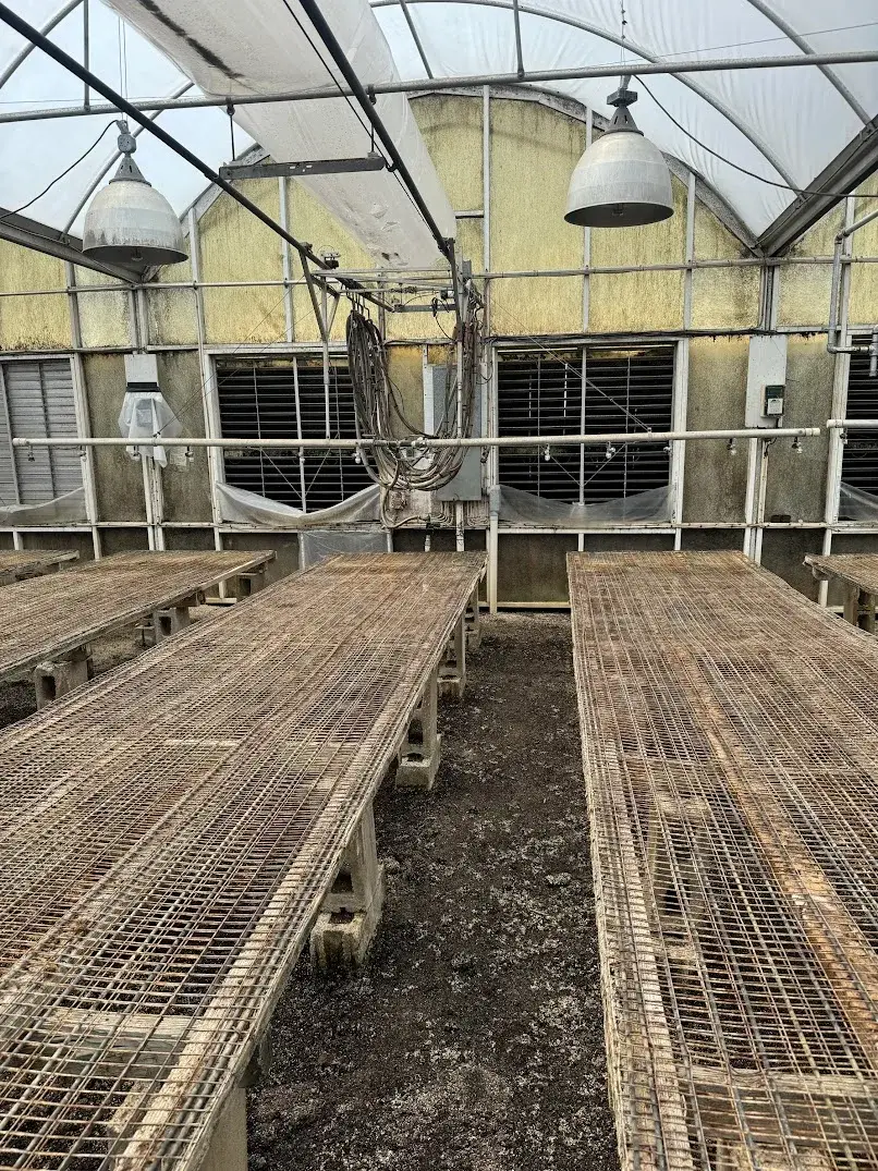 WHITES AUCTION LOT 120 - 17' Double Rail Watering Boom System with Cherry Creek Systems Network Irrigation Controller in GH22 Starting Area Bay 3